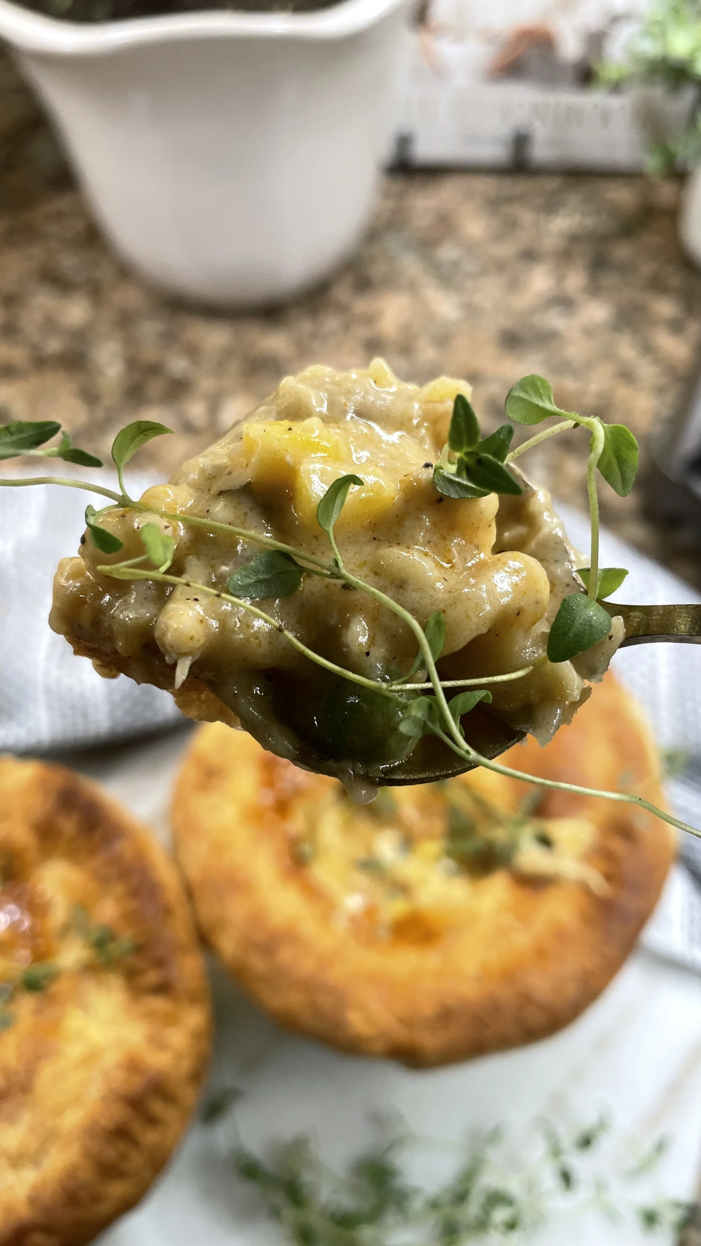 Upclose spoonful_pot pie.jpg