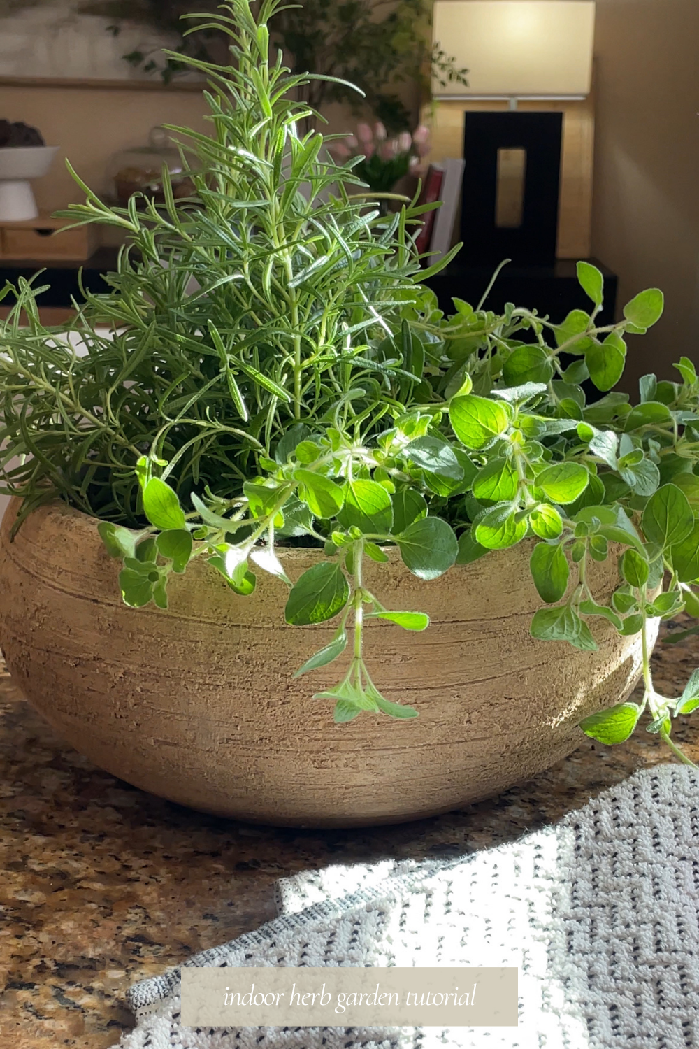 indoor herb garden tutorial.png
