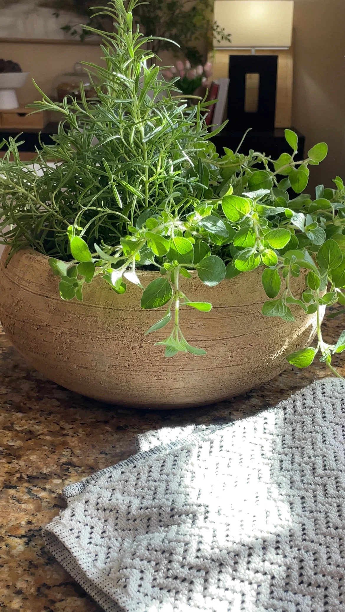 Herb Garden with Napkin_Finished.jpeg