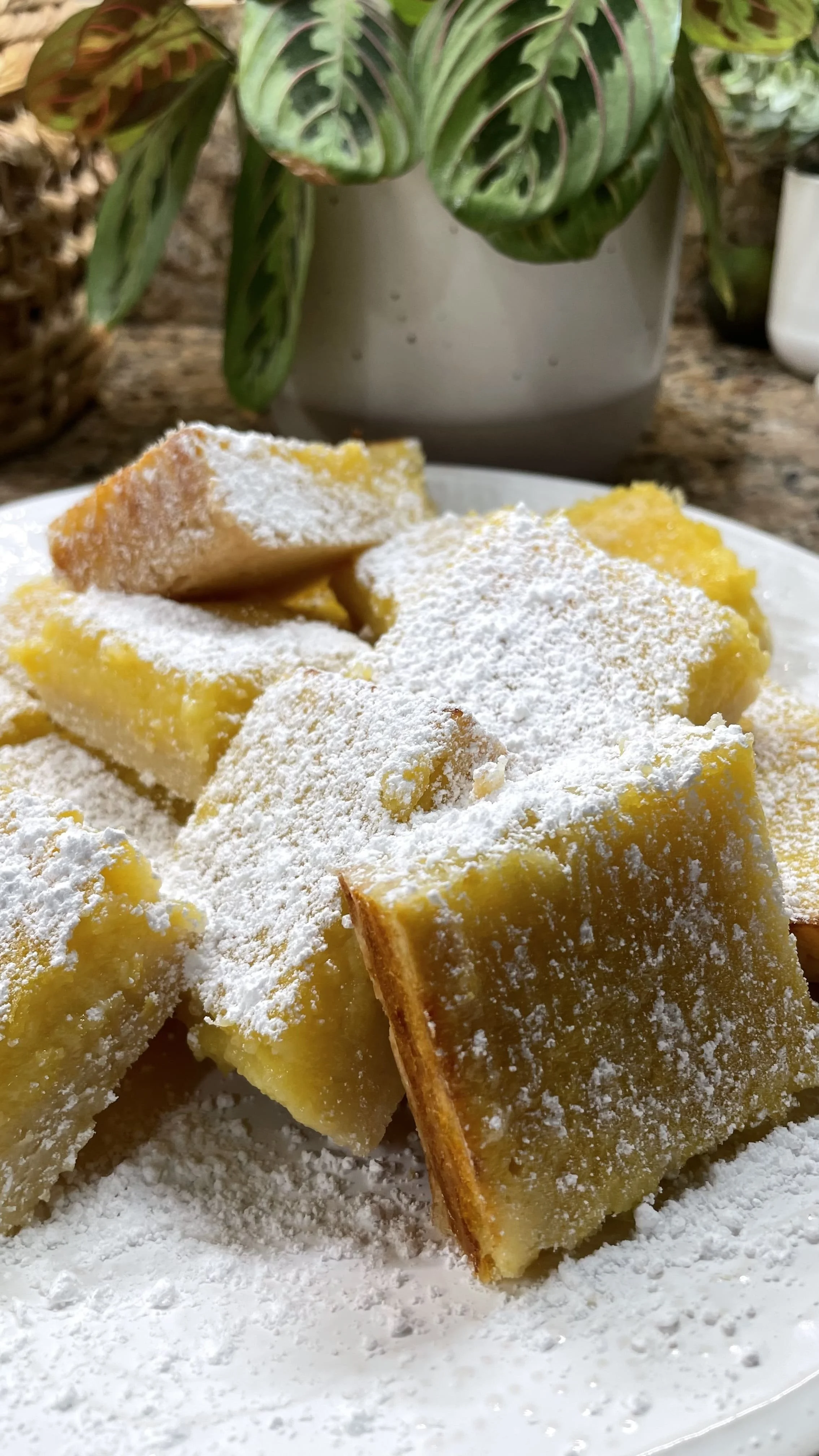 Fresh lemon bars generously dusted with powdered sugar, styled on a plate with soft natural light
