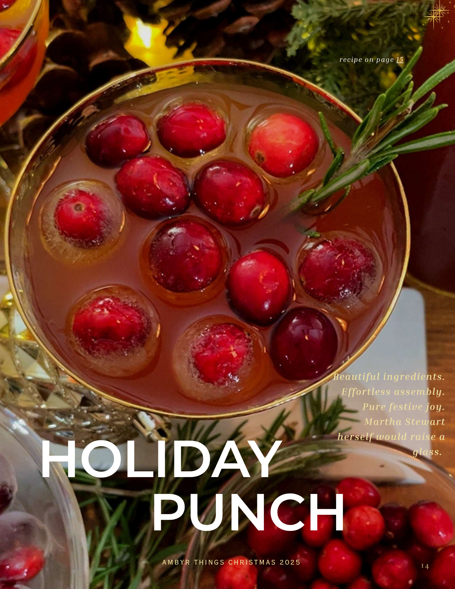 Holiday Punch - Cover.png