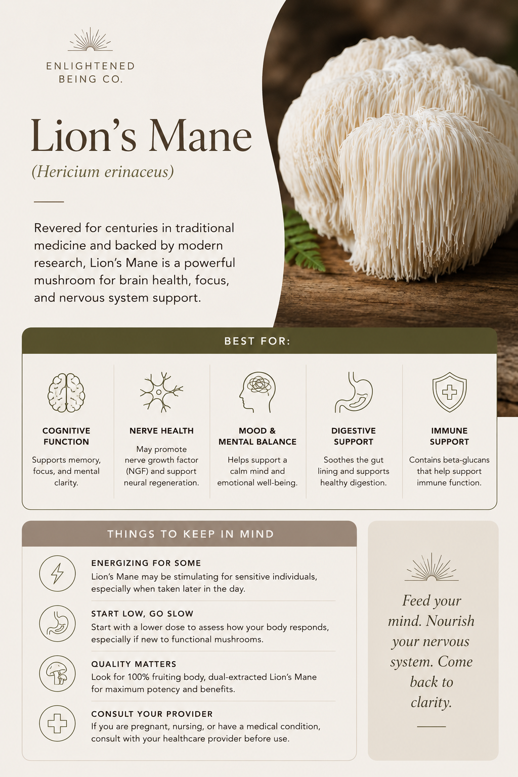 LionsmaneINFO.png