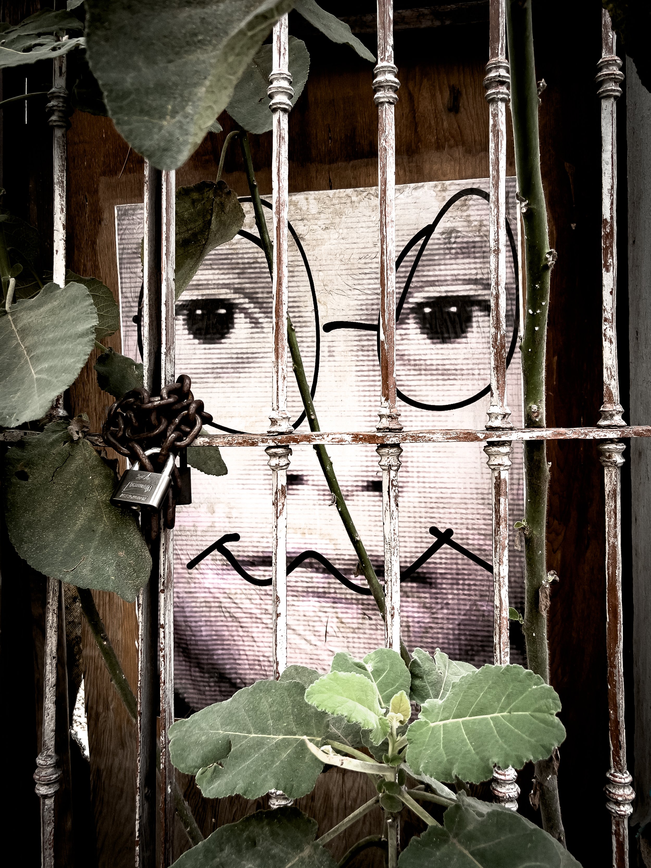The Quiet Watcher.jpg