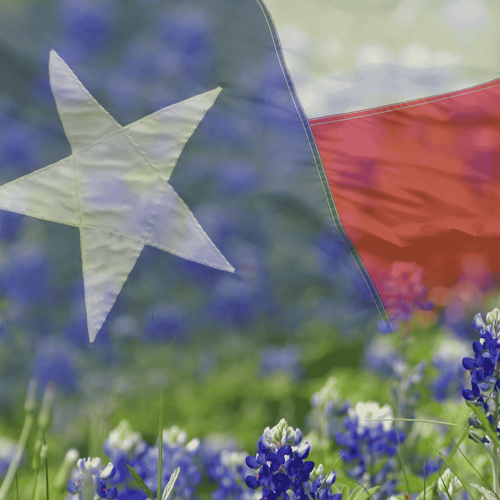 Texas Court Rejects Common TCPA Add-On