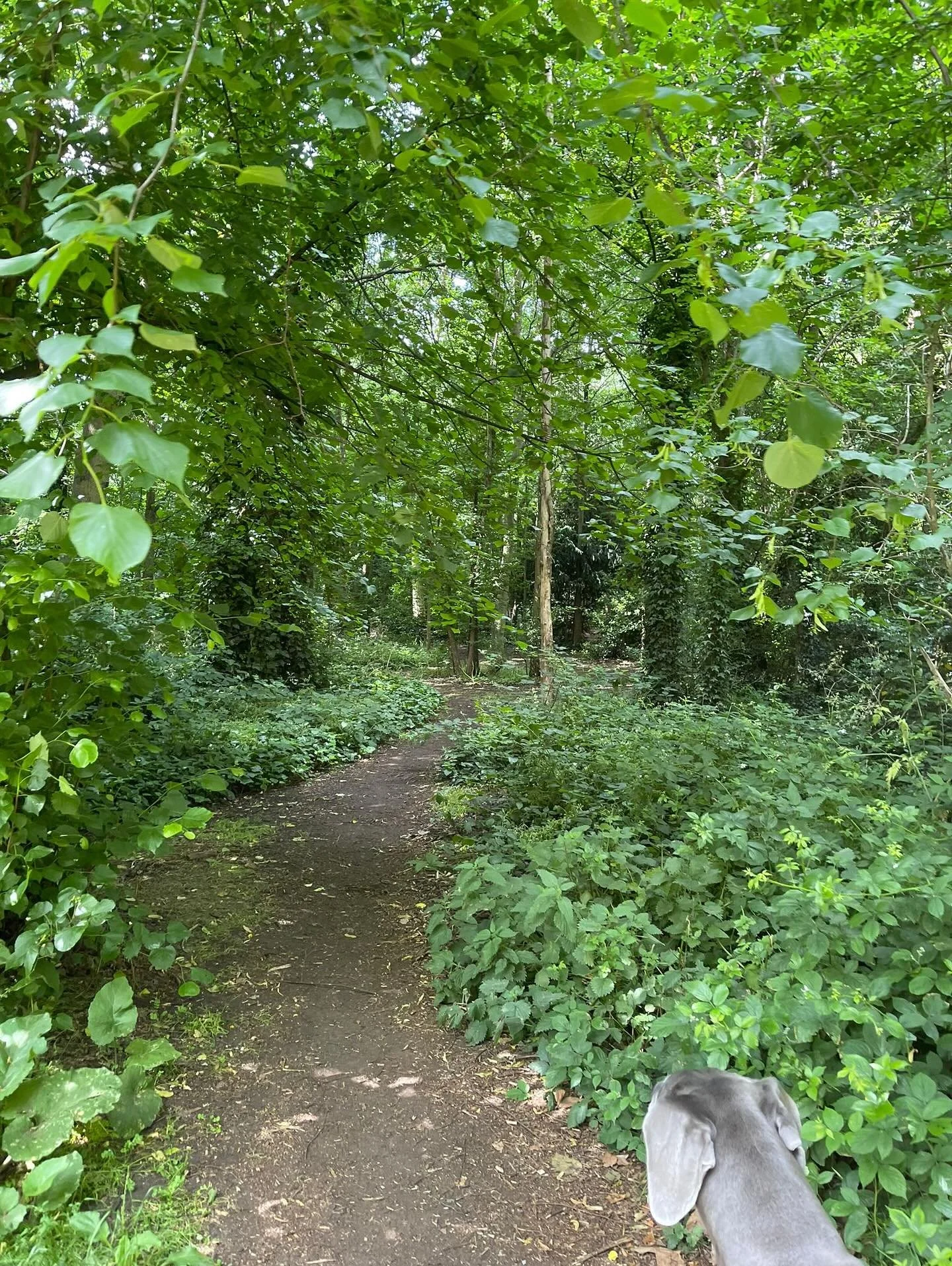 All day long and also through the nights we share our memories, recipes, thoughts and quotes, ups and downs and real life moments, love and laughter, tears and sadness, beauty, love and joy wherever and whenever we want to. Thank you for sharing the 