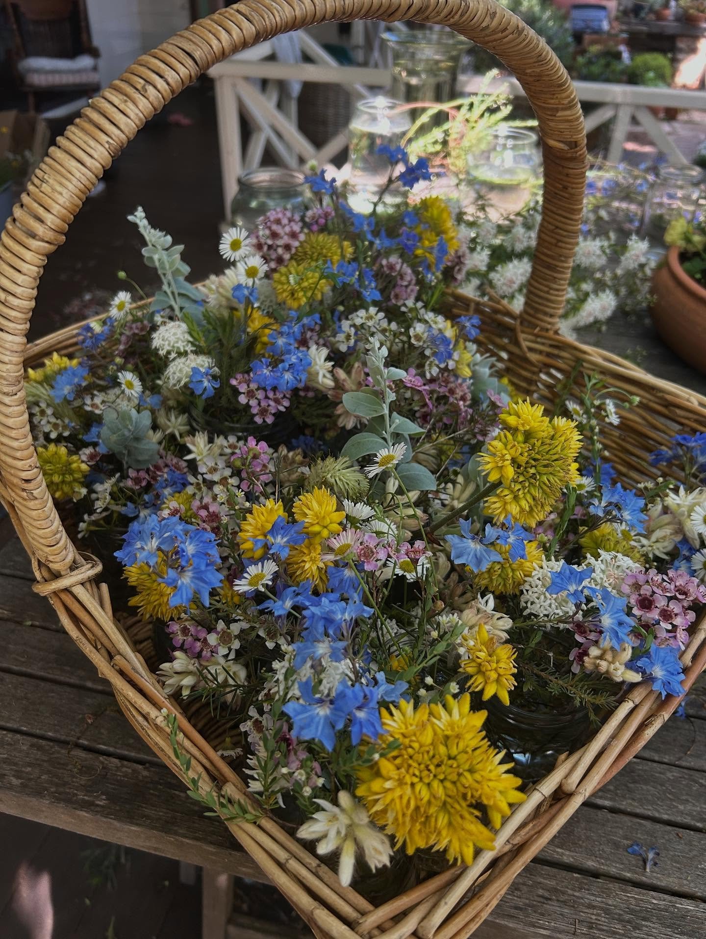 I&rsquo;ve been collecting wildflowers from the farm this week to make a load of little bud vase arrangements for the @businesswomenscollective long table luncheon hosted by @redgumwine.estate in Dwellingup today 🌼 A lovely day enjoyed by all ☺️