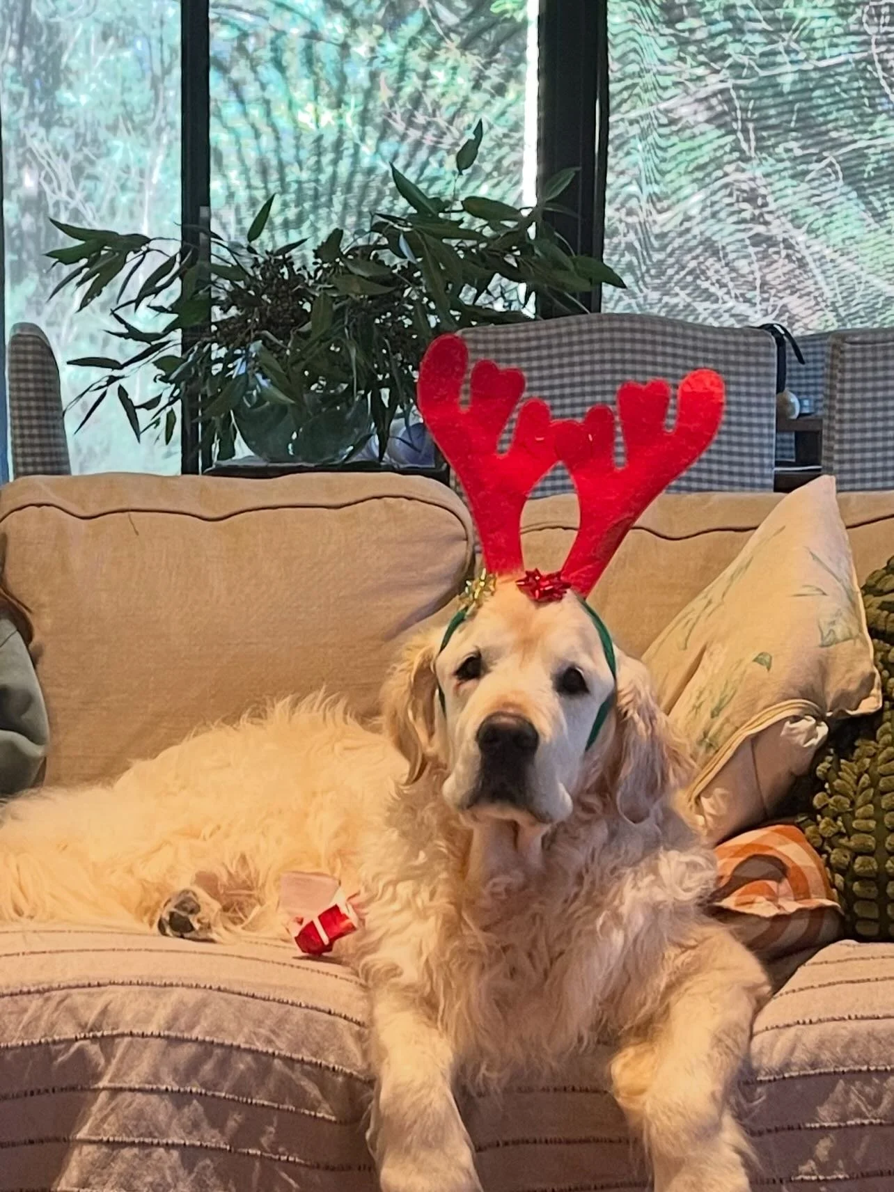 It&rsquo;s not even Christmas yet and I am already missing my loved ones. There will be no Griffin to help rip open the presents, or Annabelle to wind up her sisters, Mabel may or may not still bark at the pig in the oven 😩 and if we&rsquo;re really