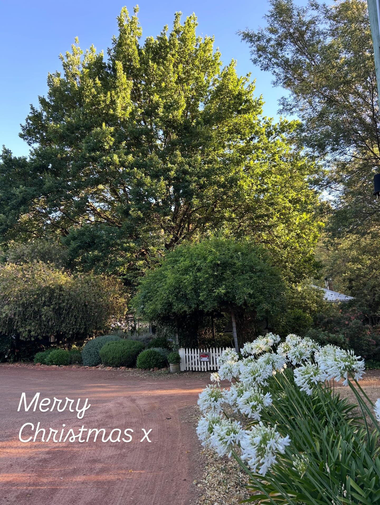 Three more sleeps 🎄
.
.
.
#bytheoakbotanicalstylist #christmasontheothersideofthecountry #christmasontheothersideoftheworld 
#murrayfarmstayindwellingup #countrystyle countrystylemagazineaustralia countrywedding countrystyle australiancountrywedding