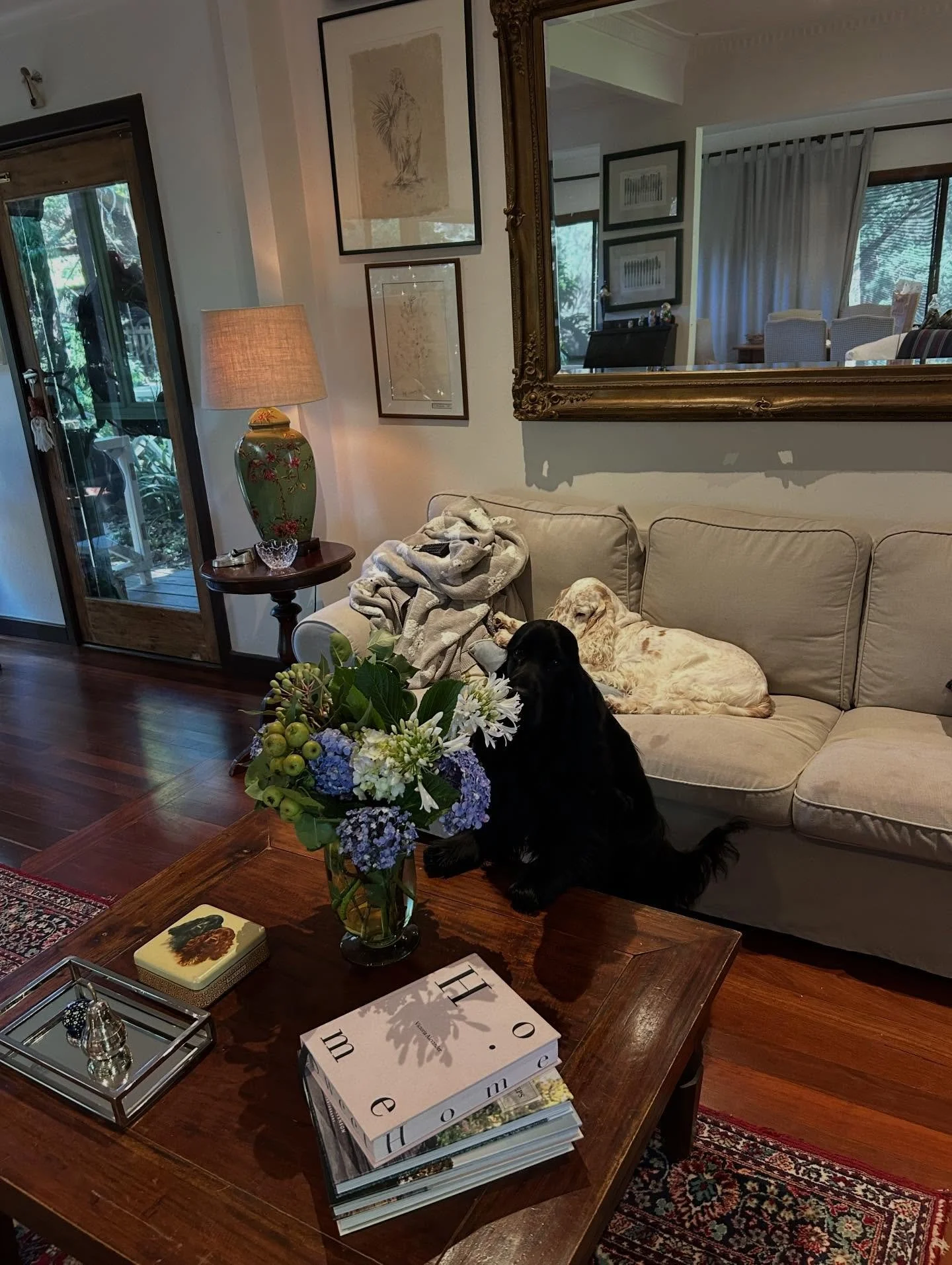 Theo approves of the Christmas Bouquet 🖤 
.
.
.
Merry Christmas everyone 🎄🎄🎄❤️❤️❤️