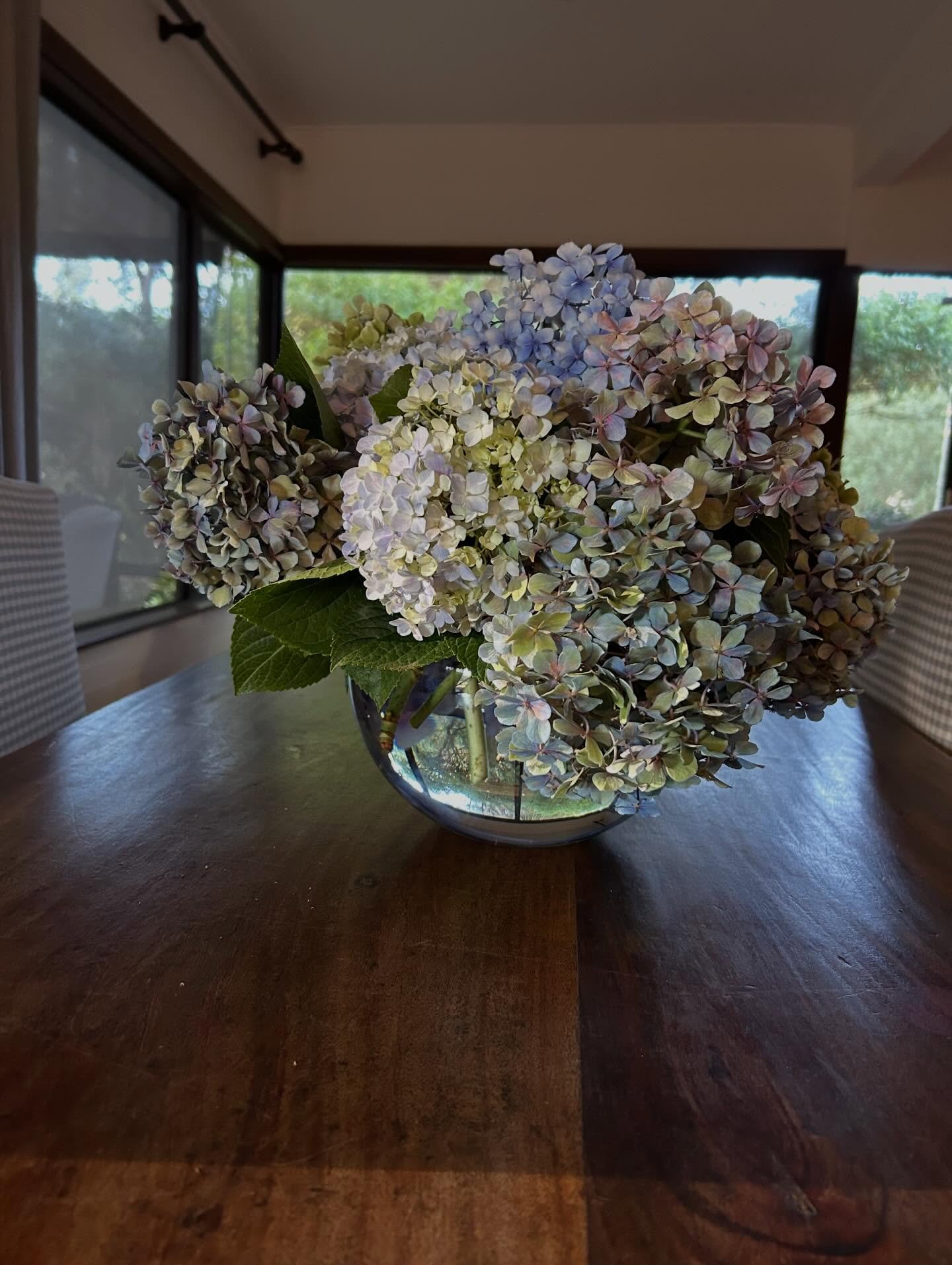 Such generous gifts from my magical summer garden ☺️
.
.
.
#farmlife #hydrangealove #favouriteflower