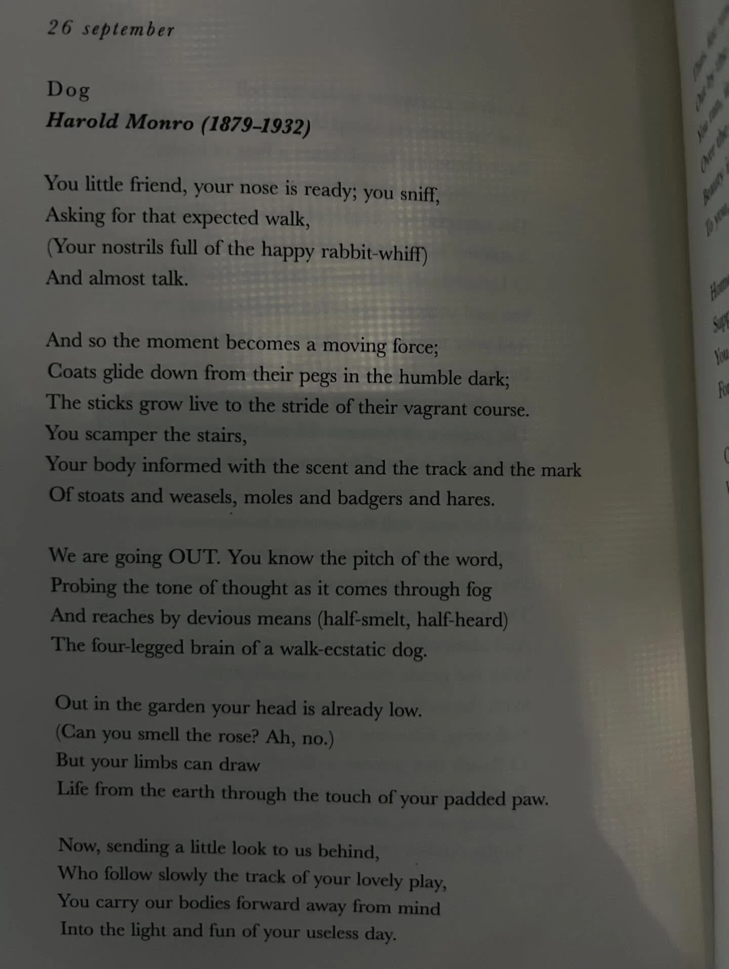Just read this lovely poem called Dog, by Harold Monro ☺️
.
.
.
#spaniel #englishcocker #cockerspaniels