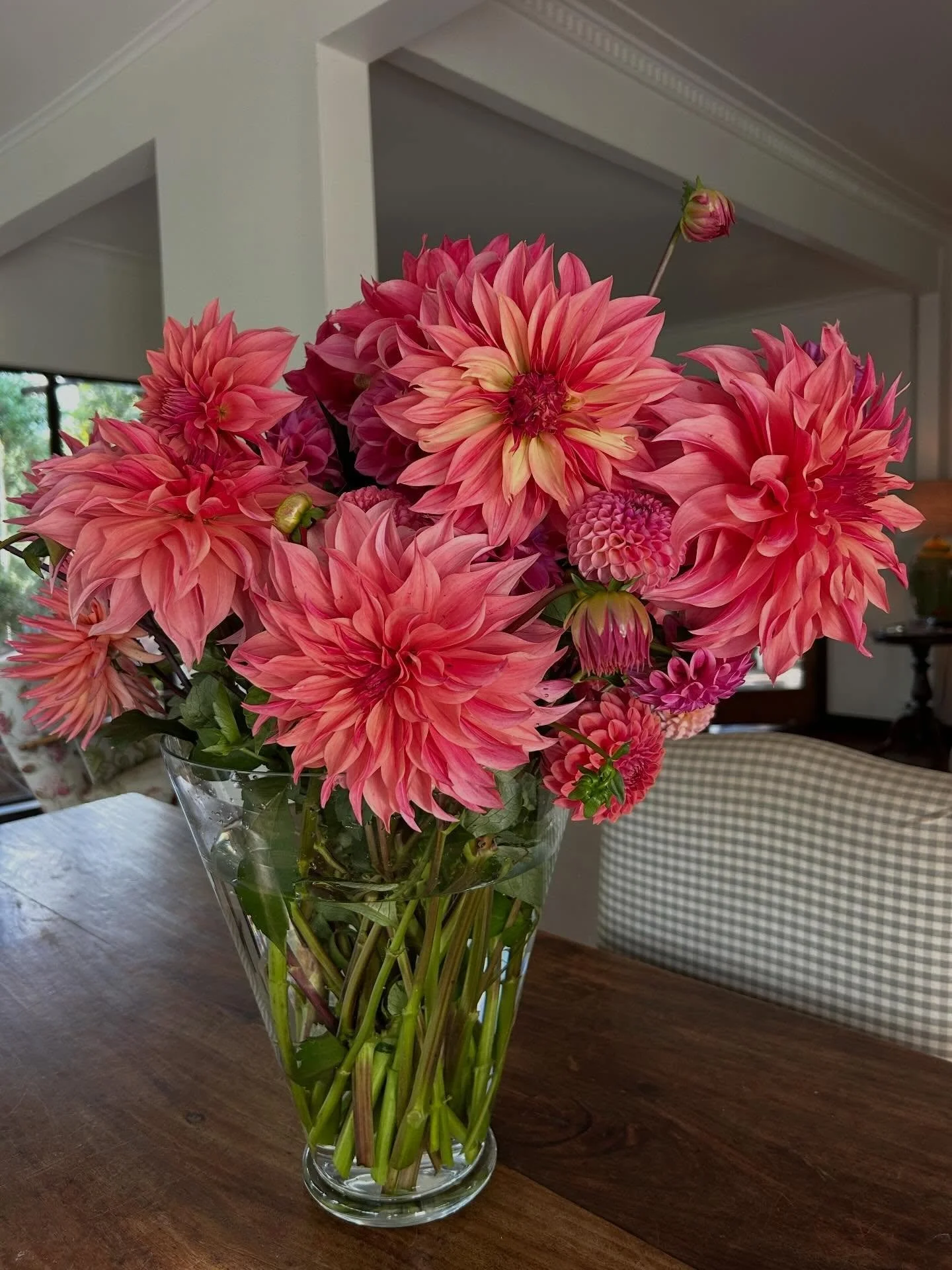 Certainly no photo I can take could ever do justice to these absolutely magnificent flowers given to us this morning by our lovely friend @lyndadorrington when she came to visit the puppies. 

If you would like to see more of Lynda&rsquo;s beautiful 