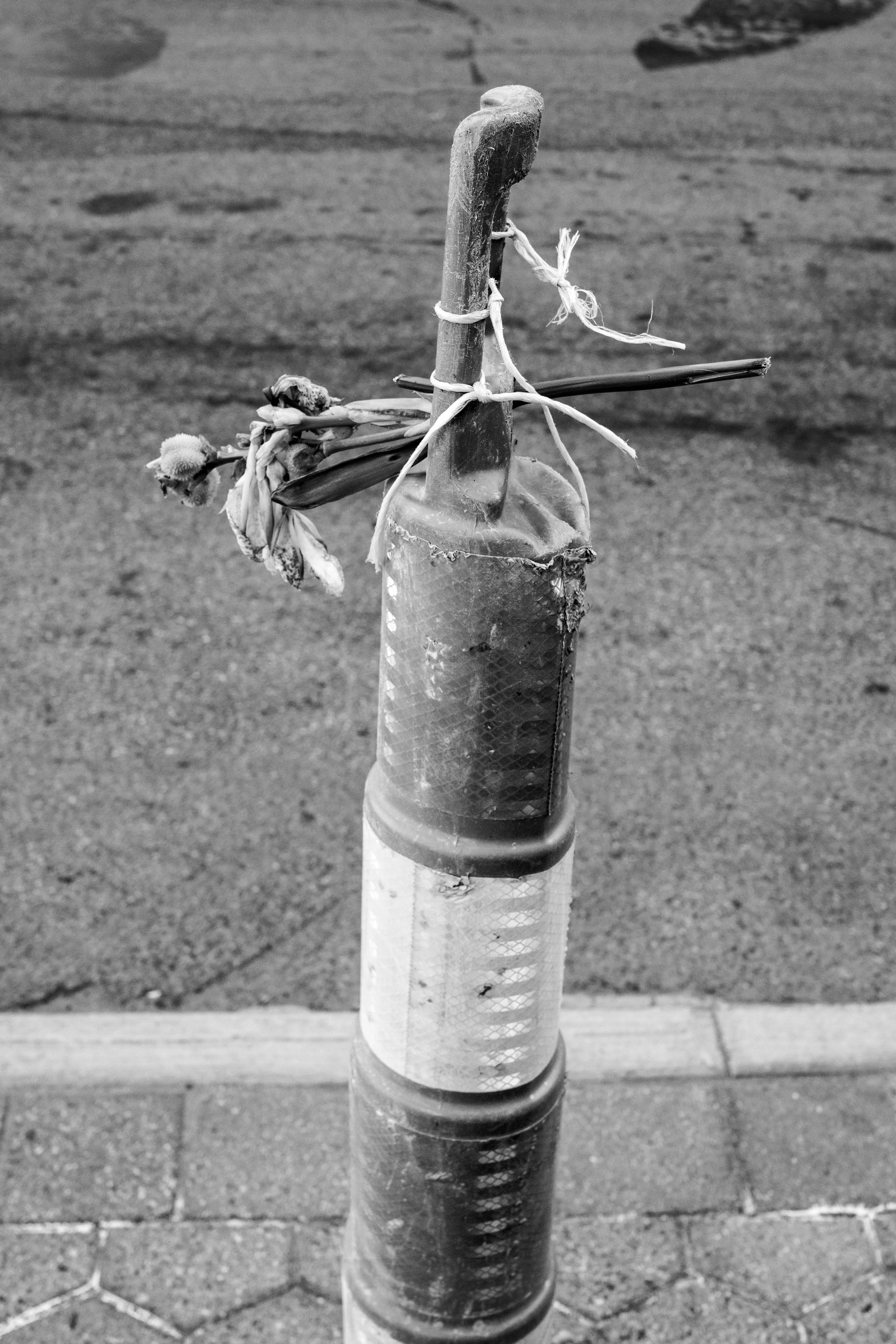 Caution Flowers 2025