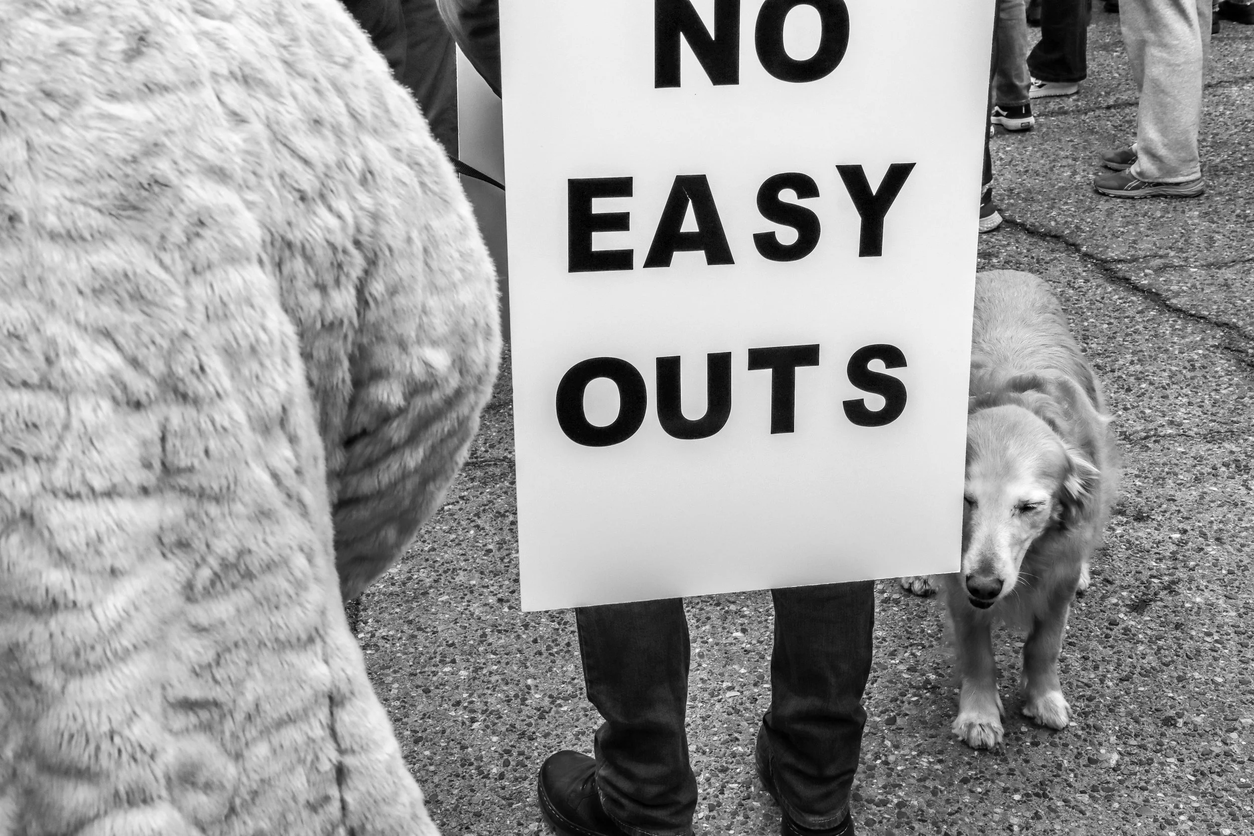 No Easy Outs 2025