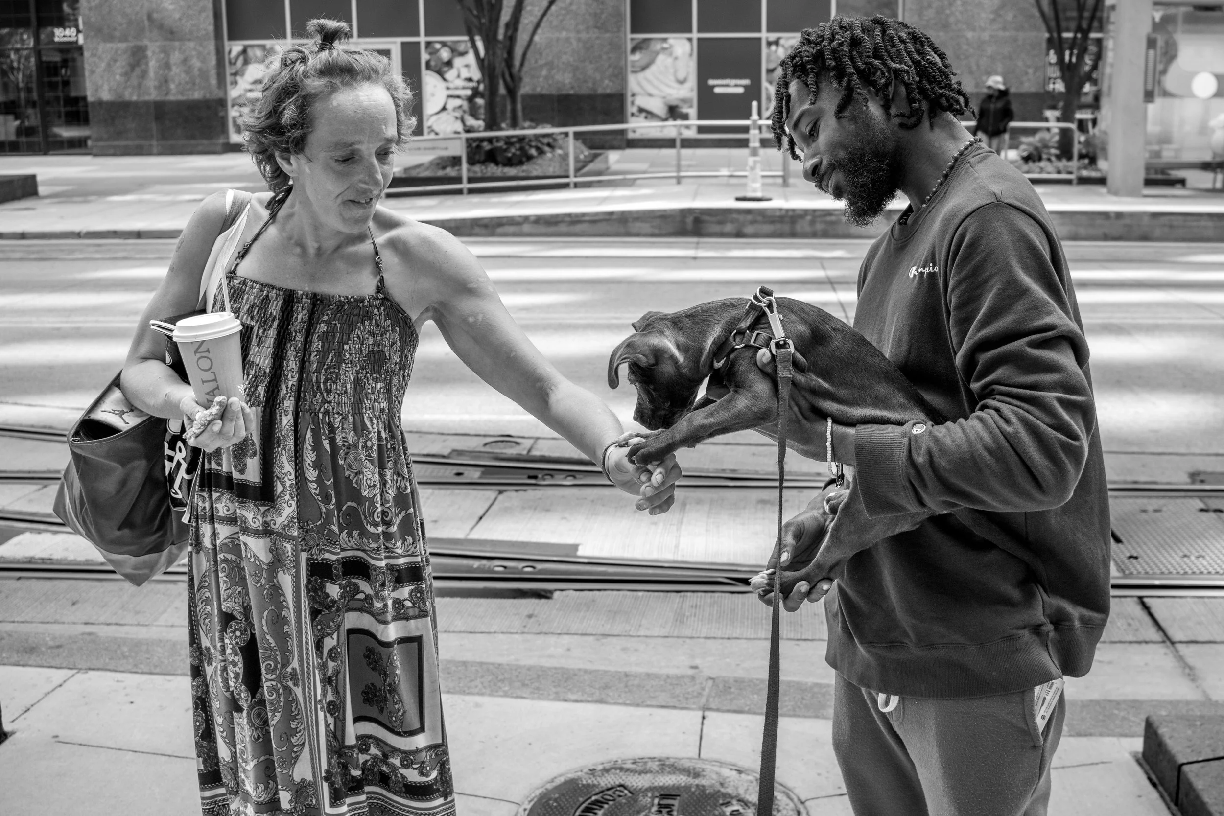 Strangers and Dogs 2 2025