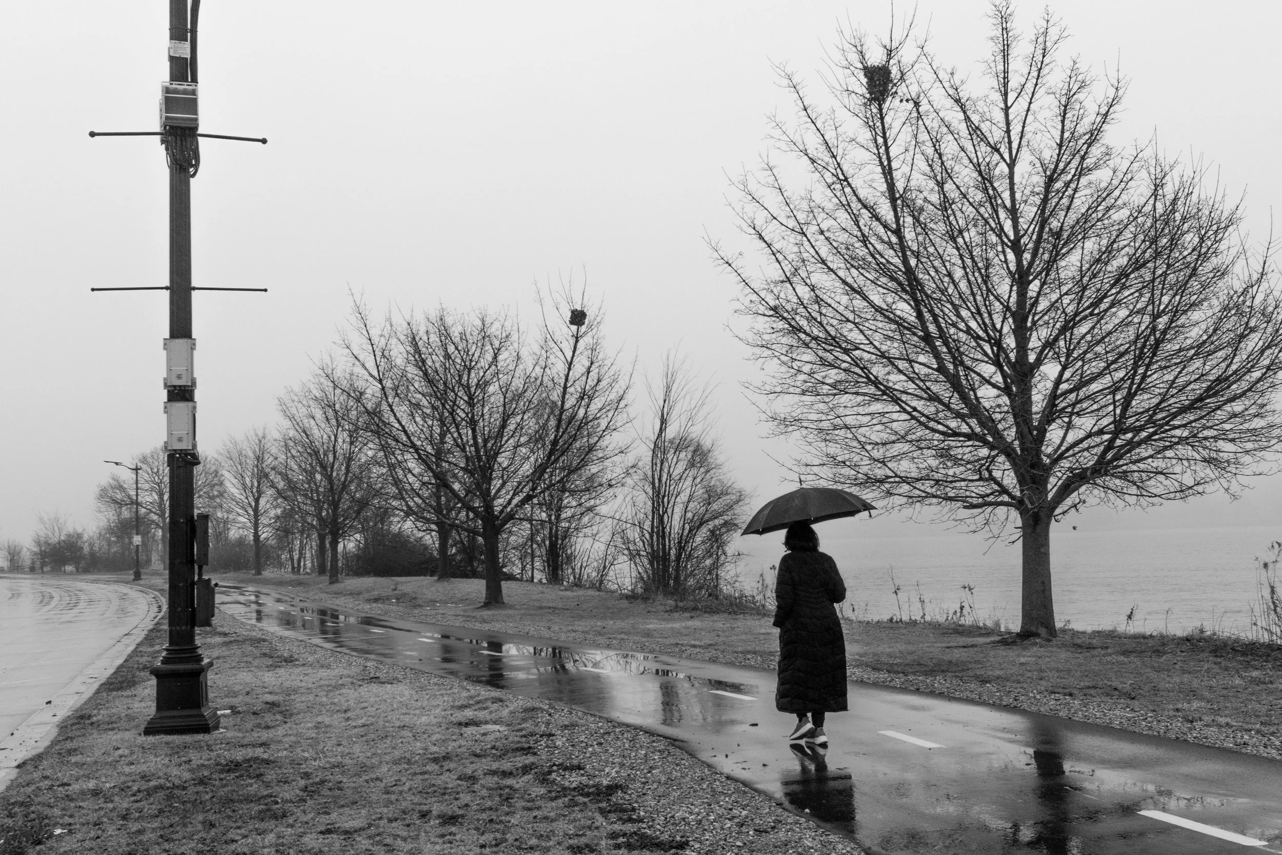 Rain 2026