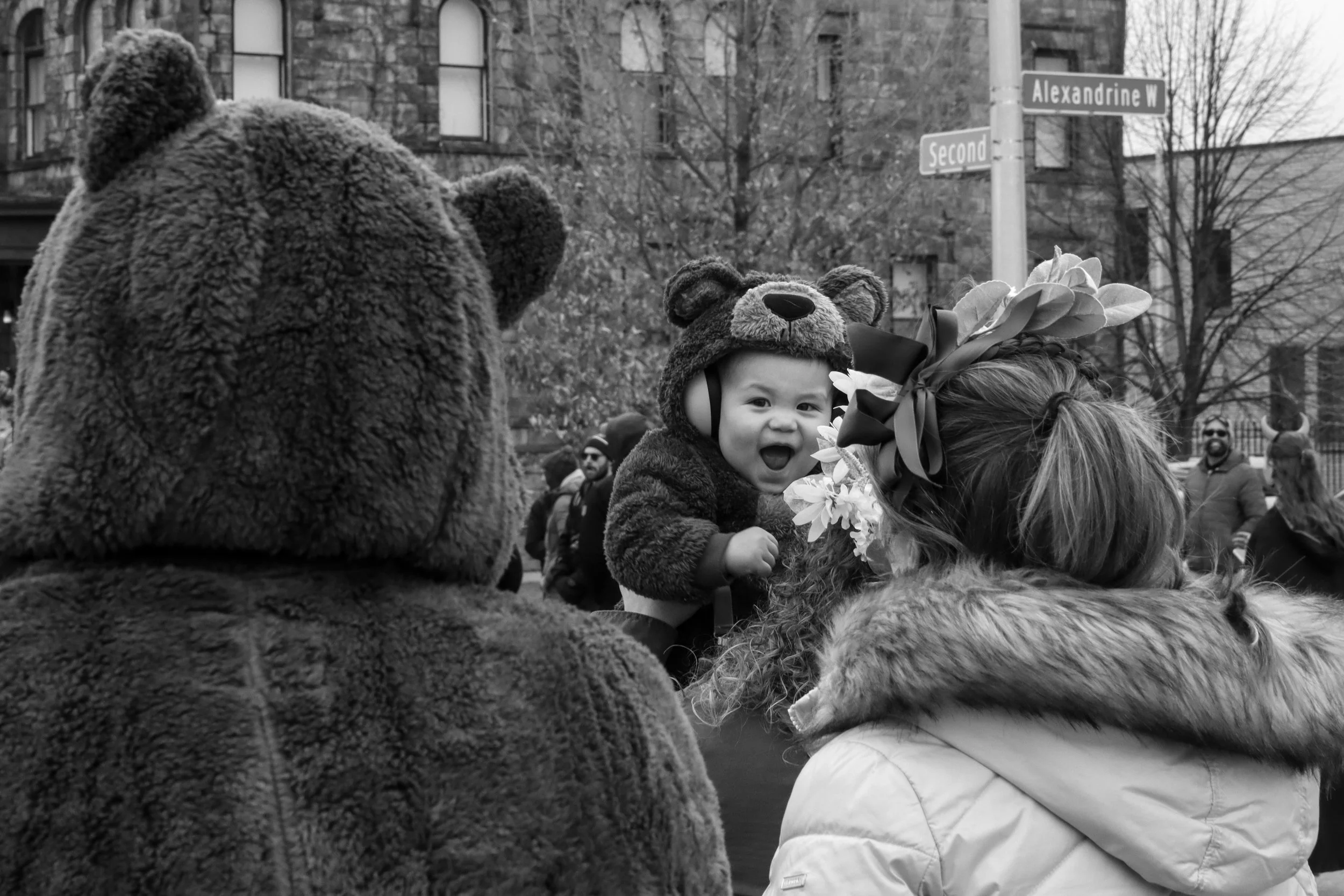 Bear Cub 2 2025