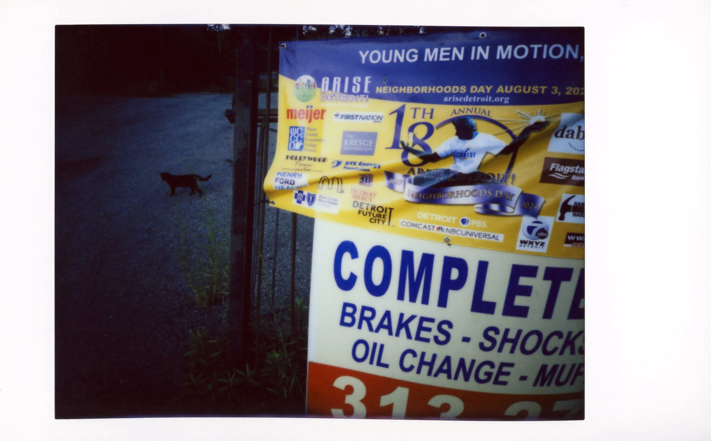 Young Men In Motion 2025