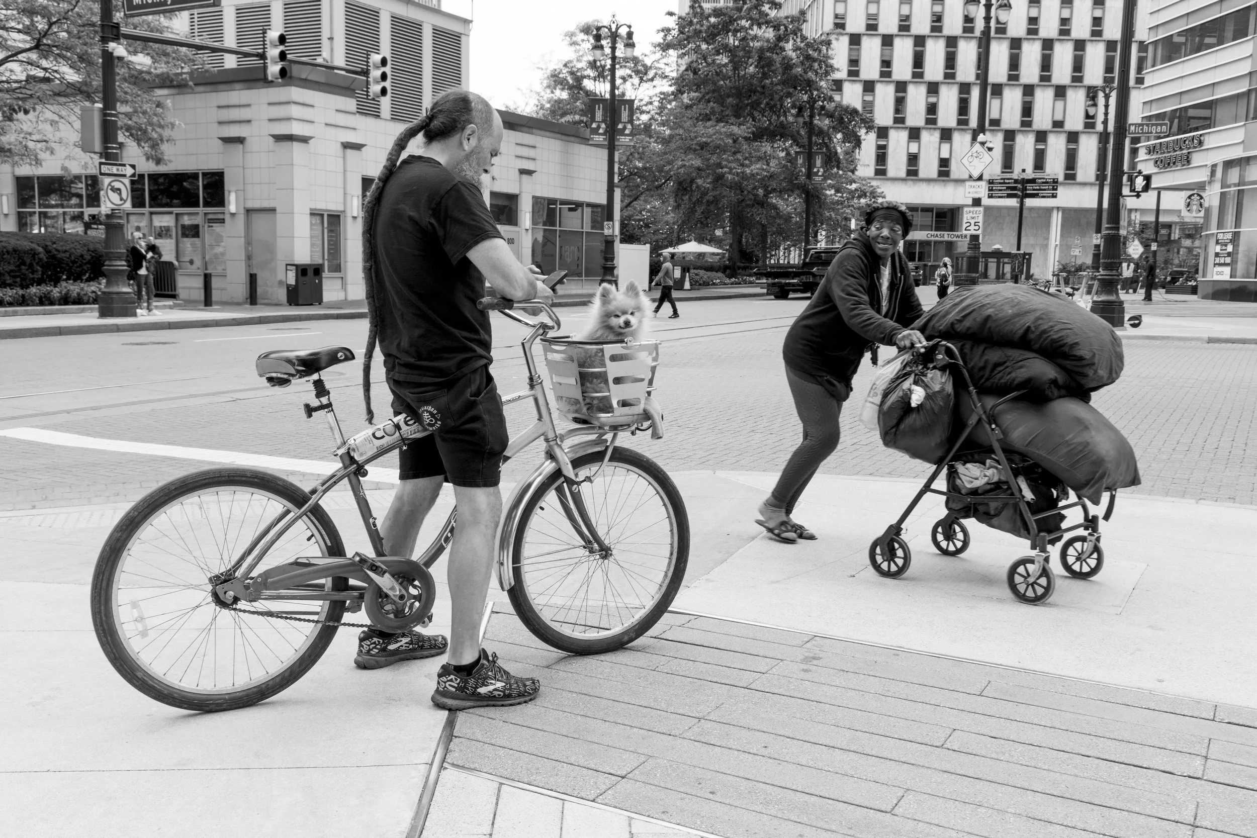 Strangers and Dogs 1 2025