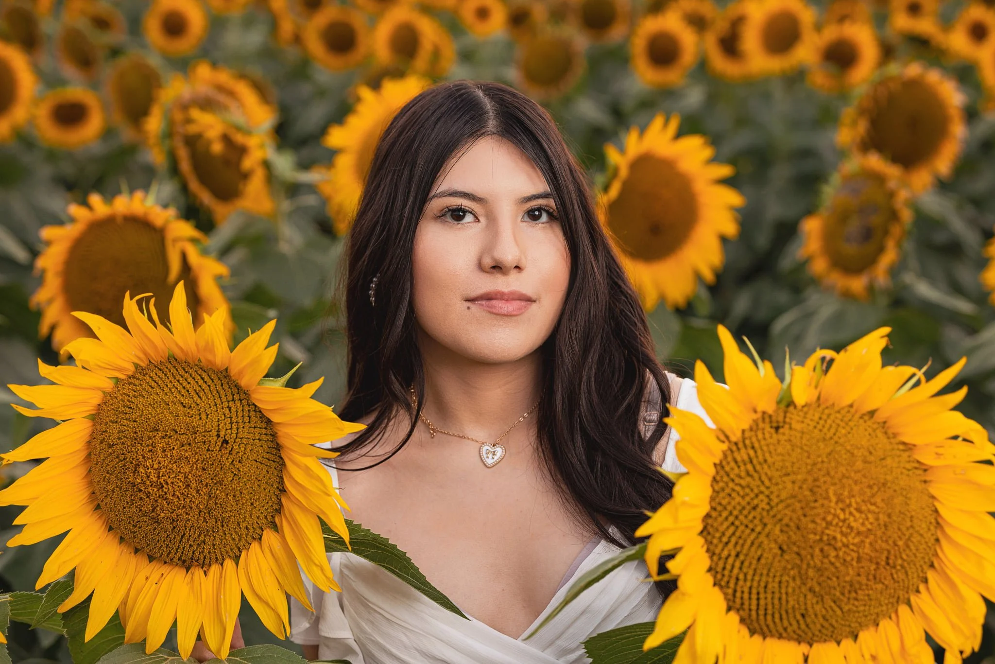 senior, sunflower, summer, flower, field, girl