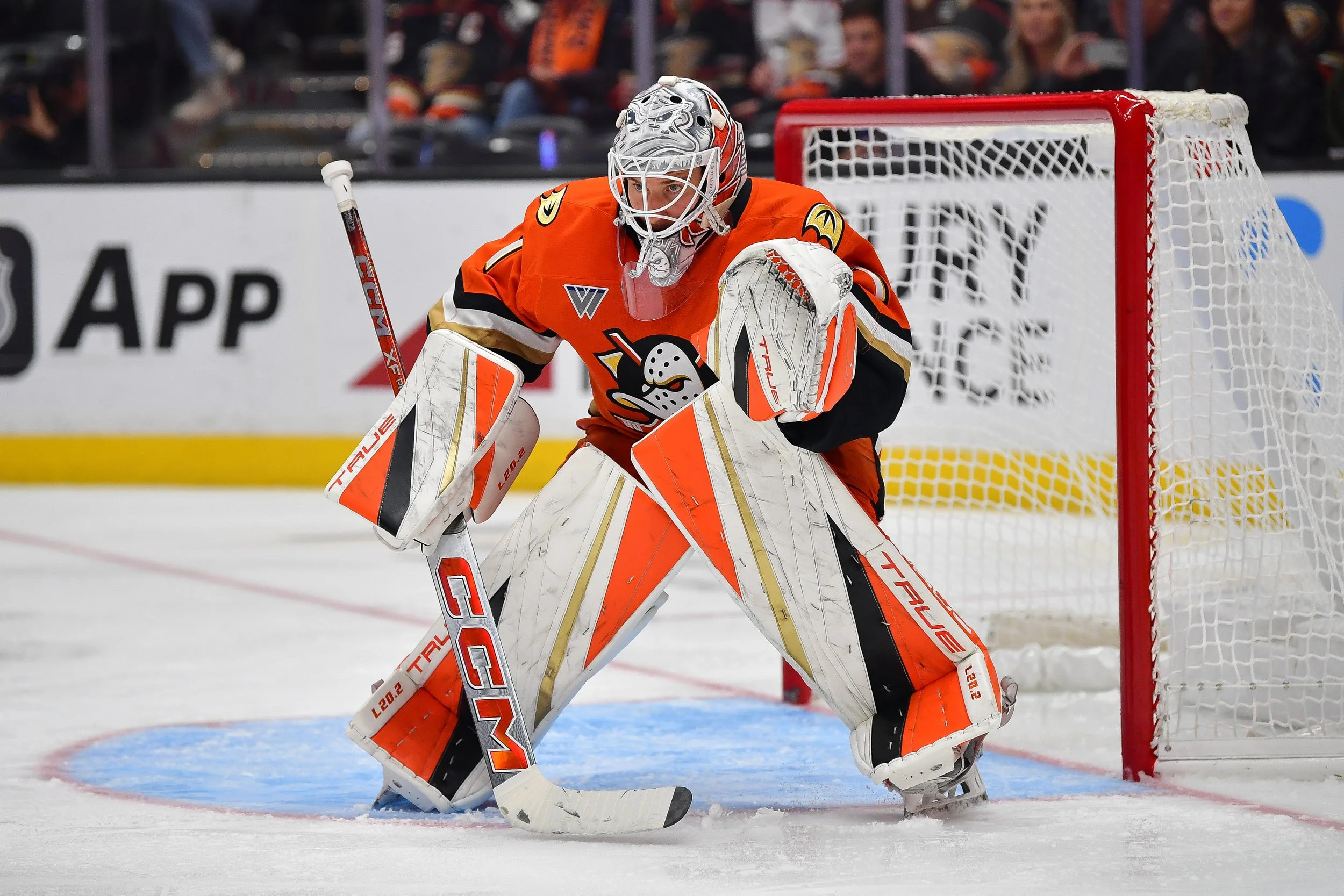 Lukas Dostal Secures Long-Term Future in Anaheim with $32M Contract Extension
