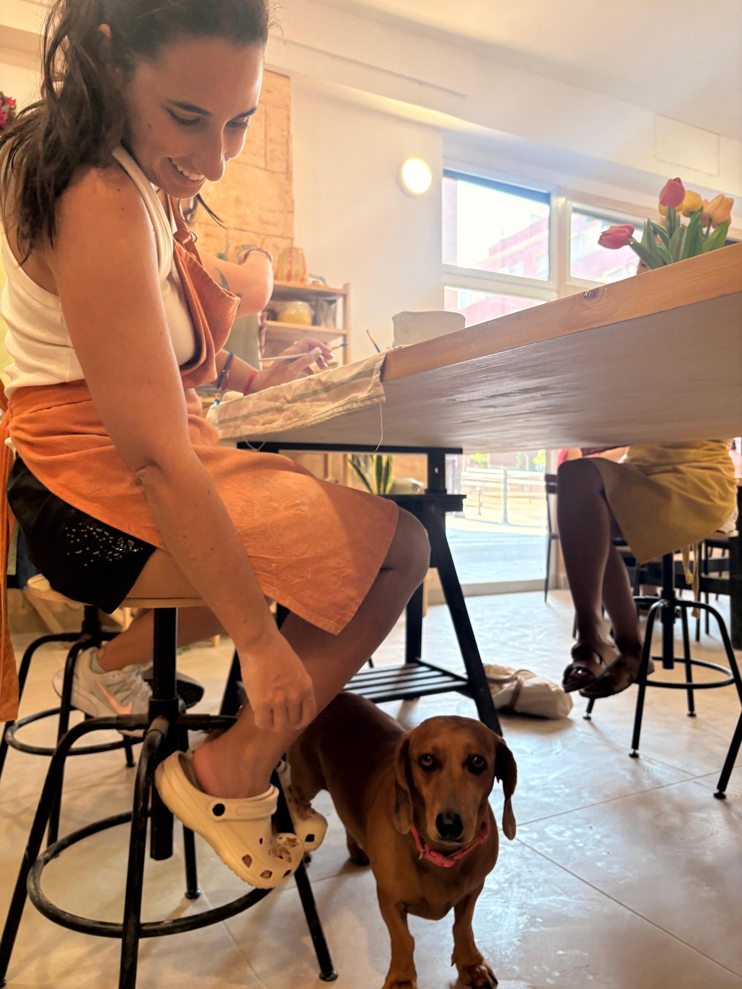 Clase de ceramica con perros