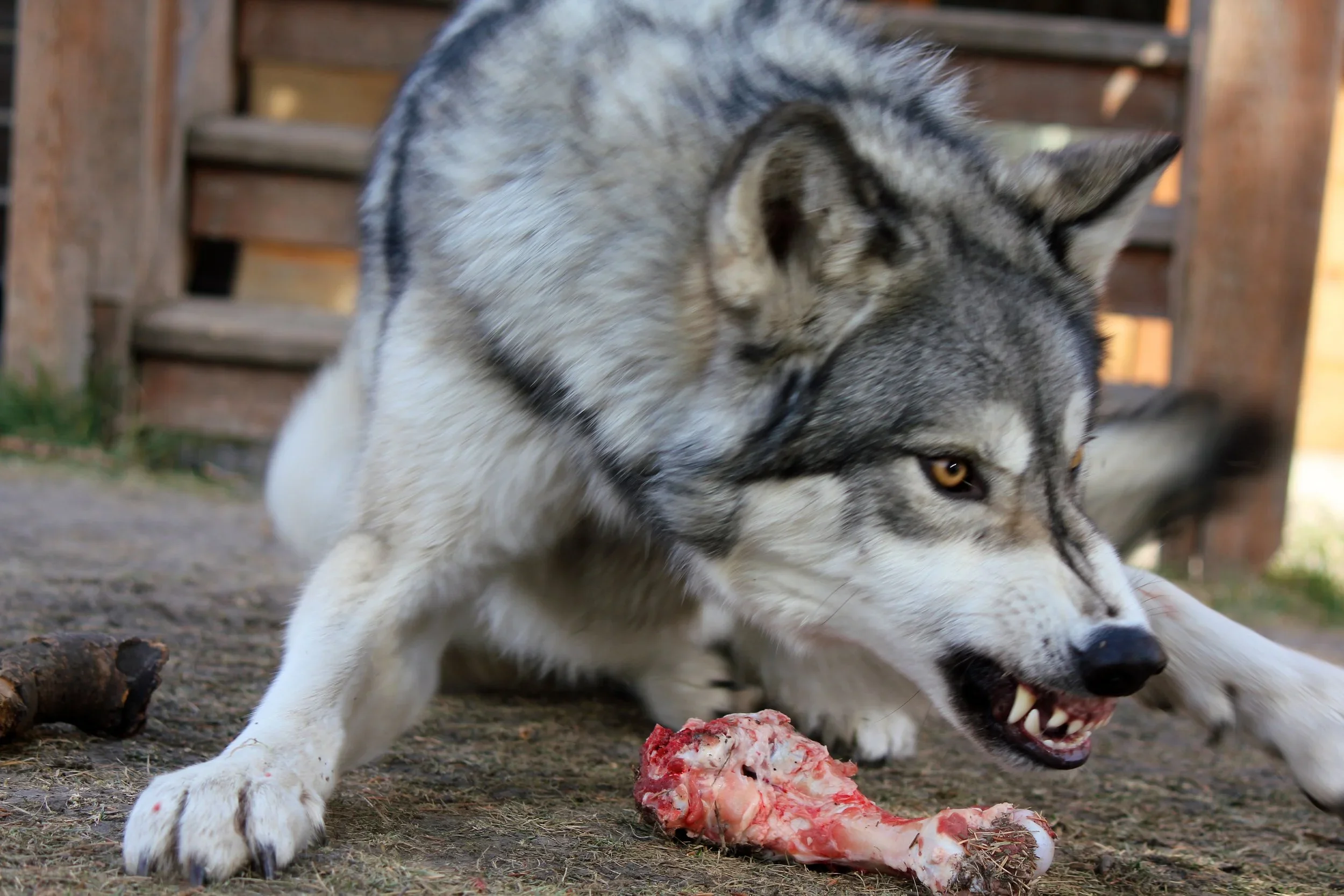 Resource Guarding Part 1