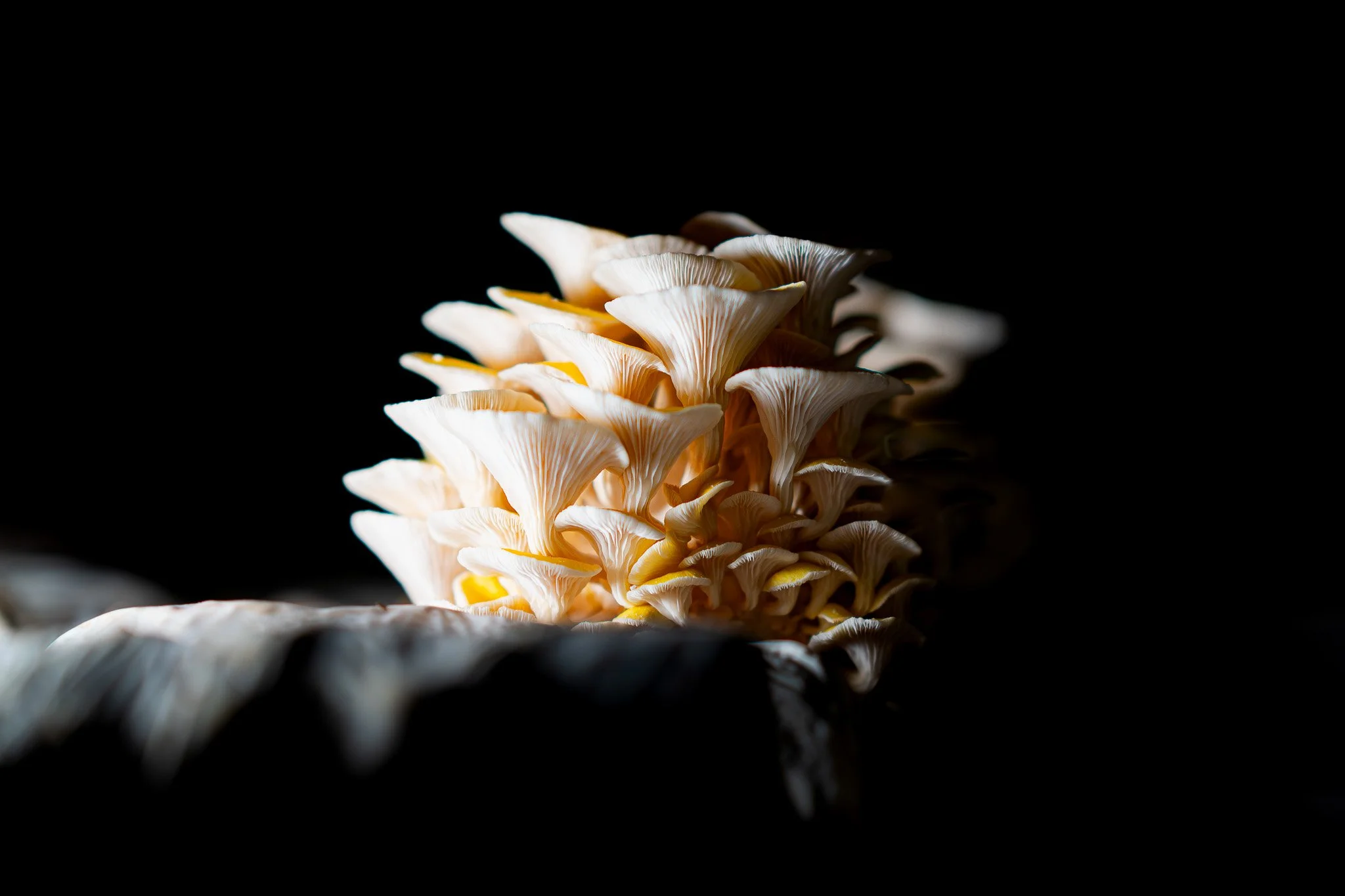 _A749000-Enhanced-NR.jpg
