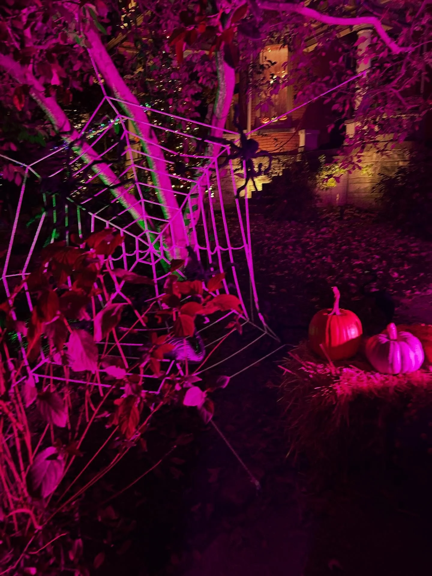 🎃 Happy Halloween from our house to yours!! 👻

Stop by and say hi if you&rsquo;re in the 900 block of Russell Street in @historicedgefield!