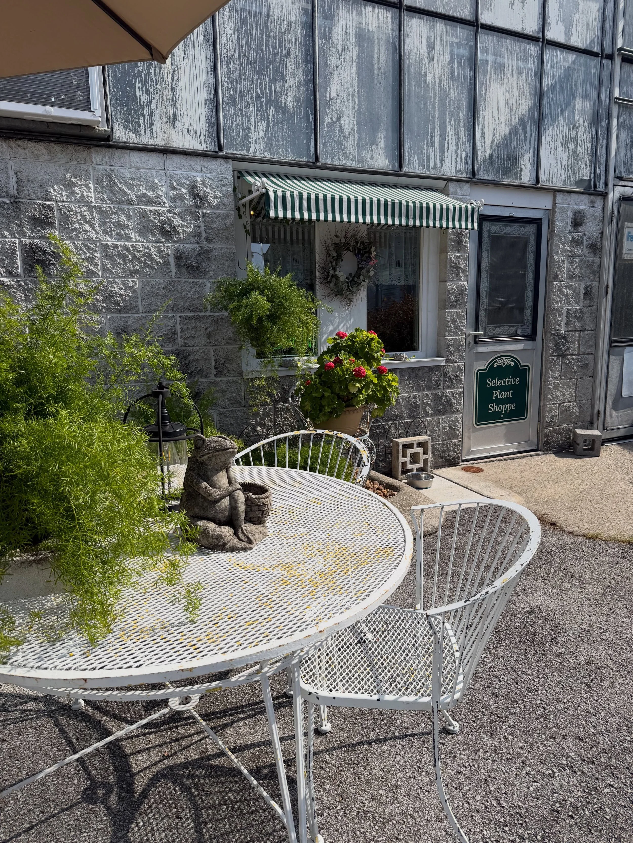 A self-checkout plant shop that&rsquo;s open 7 days a week? 🌿 Say less!

I recently had the pleasure of visiting @selective_gardener plant shoppe, and let&rsquo;s just say&hellip;I did not leave empty-handed. 🪴 And as someone with more of a yellow 