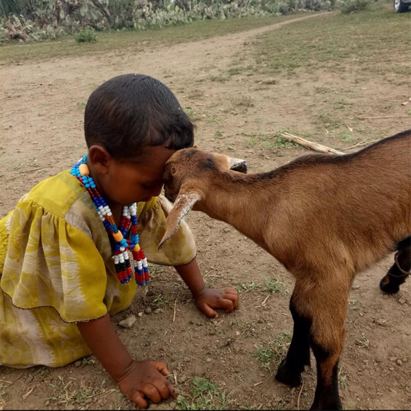 A young child kneeling on the ground, wearing a yellow dress and colorful beaded necklace, touching foreheads with a small brown goat outdoors on dirt ground.
