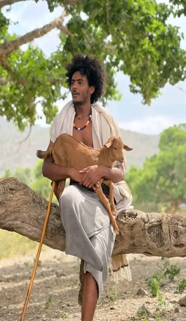 A man sitting on a tree branch holding a small goat, outdoors with green trees and sky in the background.