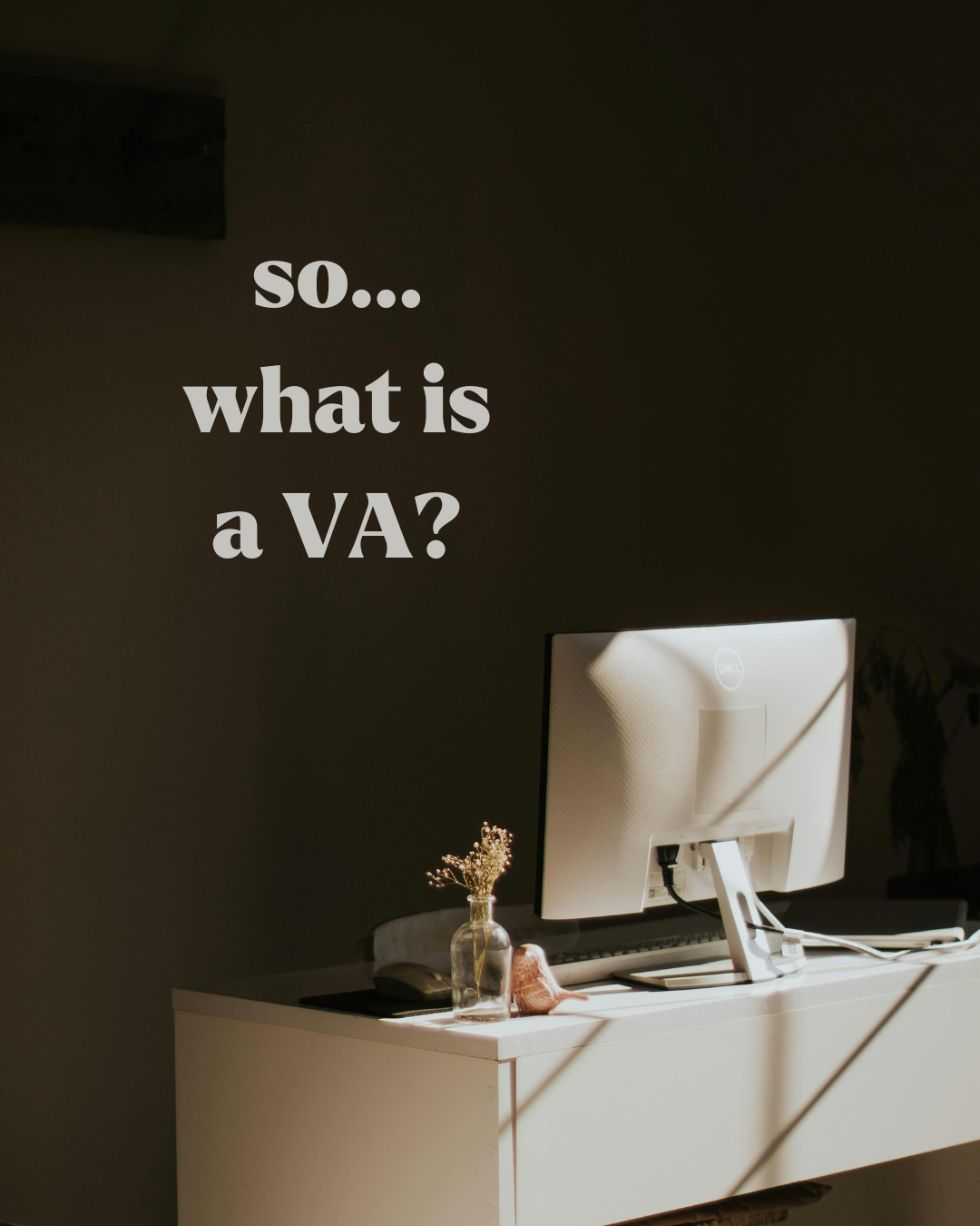 So, what is a VA?