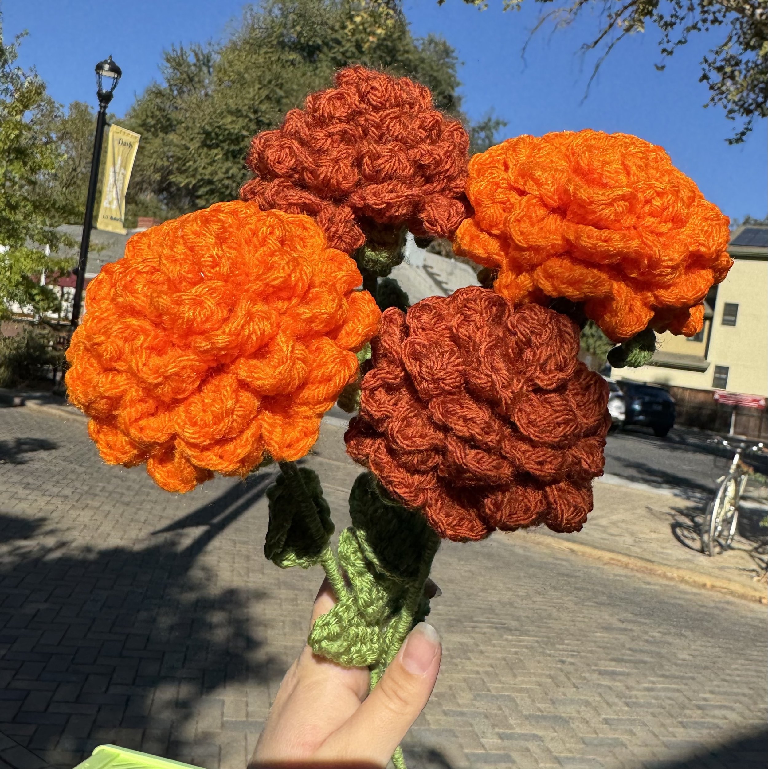 Marigold Flower (Cempasuchil)