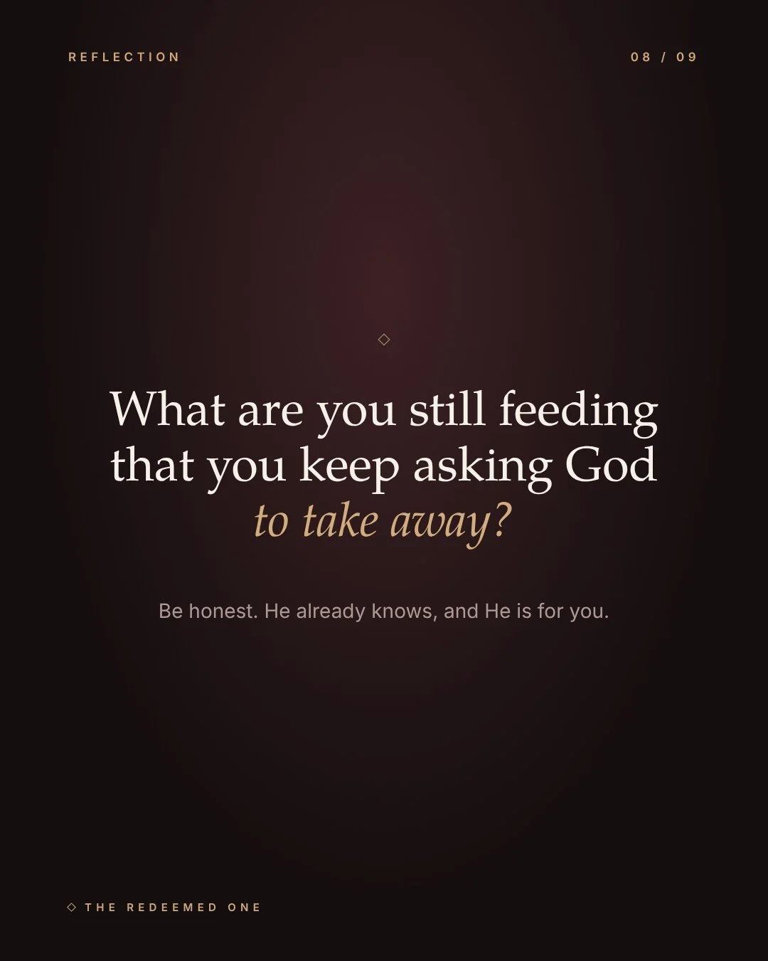 stop-feeding-it-08.jpg