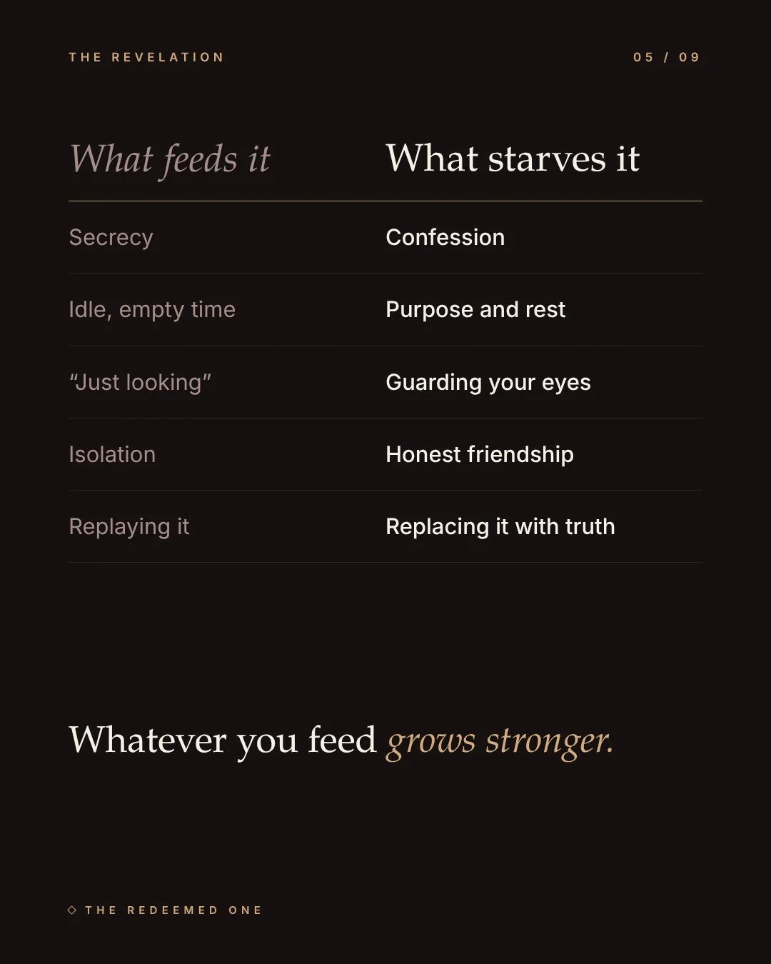 stop-feeding-it-05.jpg