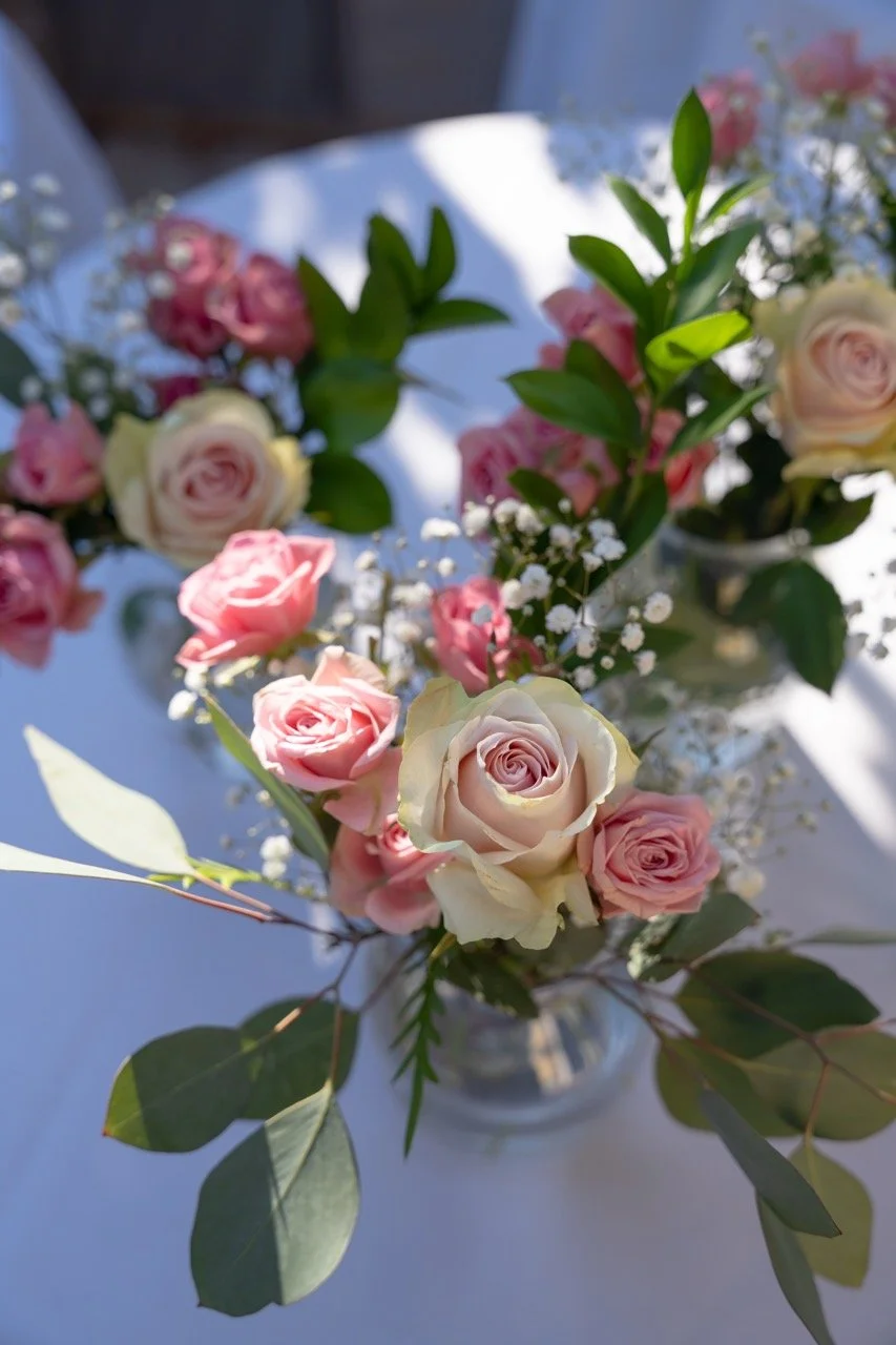 DSC00231 copy Large.jpeg