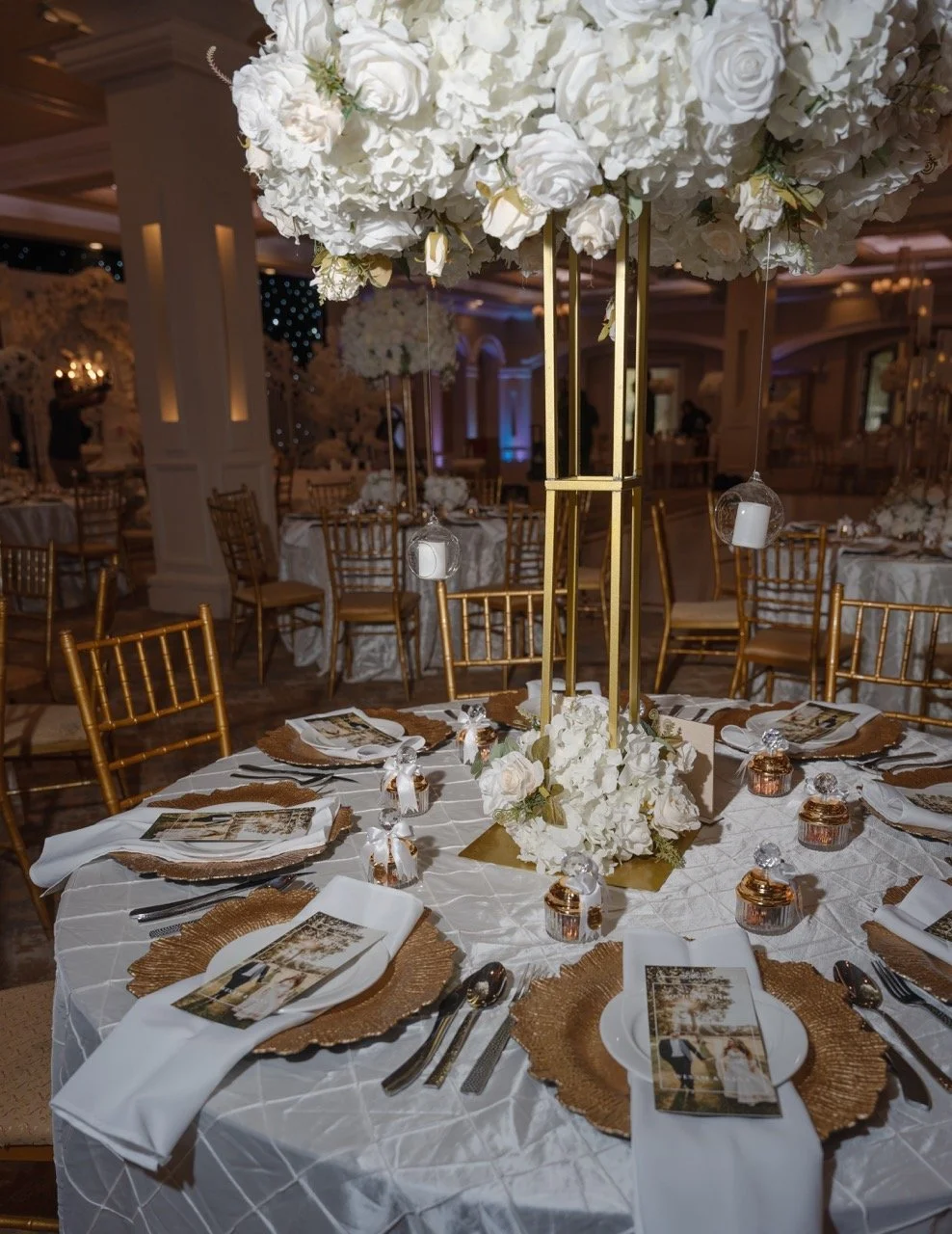 DSC01167 copy Large.jpeg