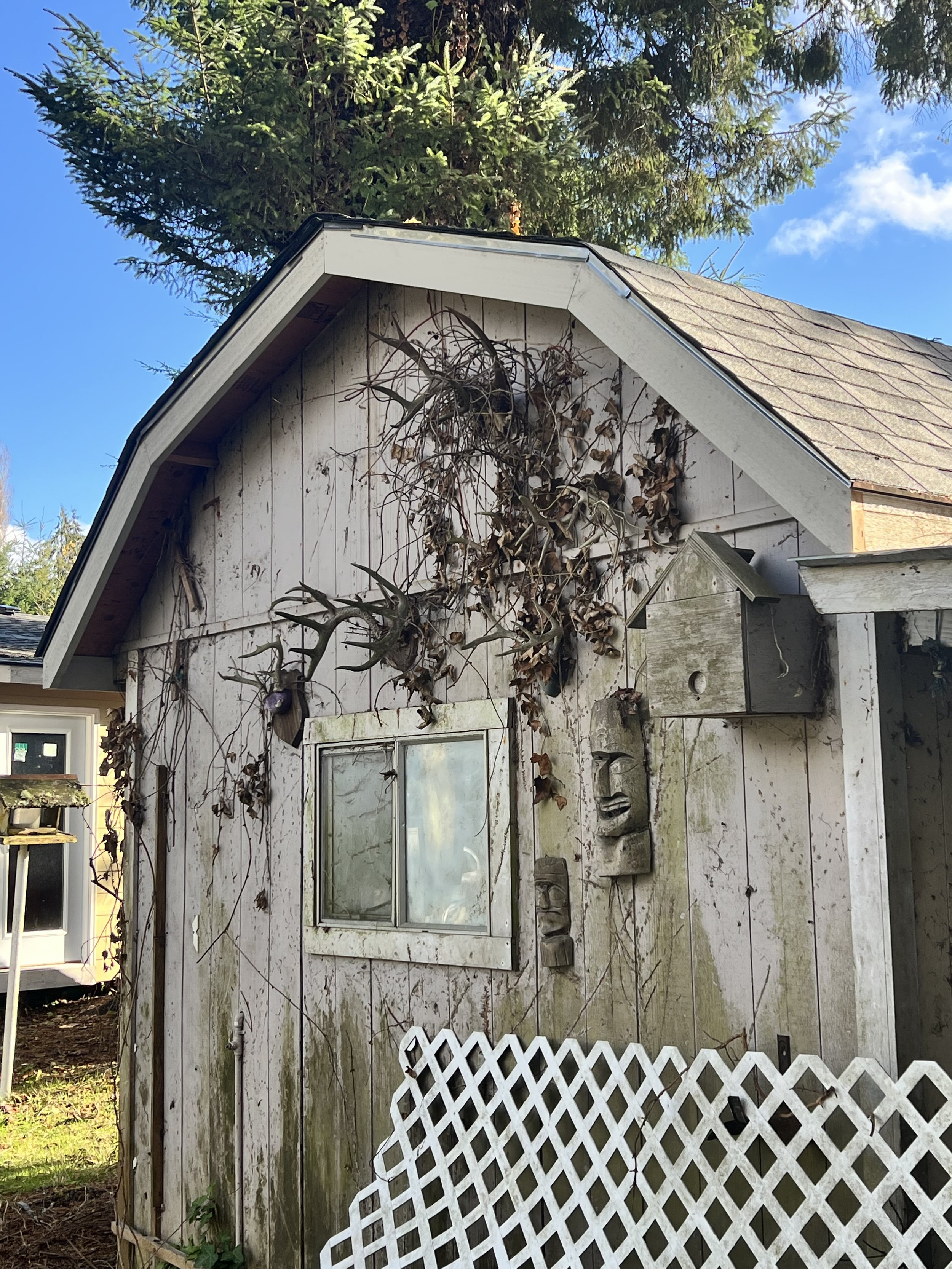 Fascia Board Installation & Roof Replacement