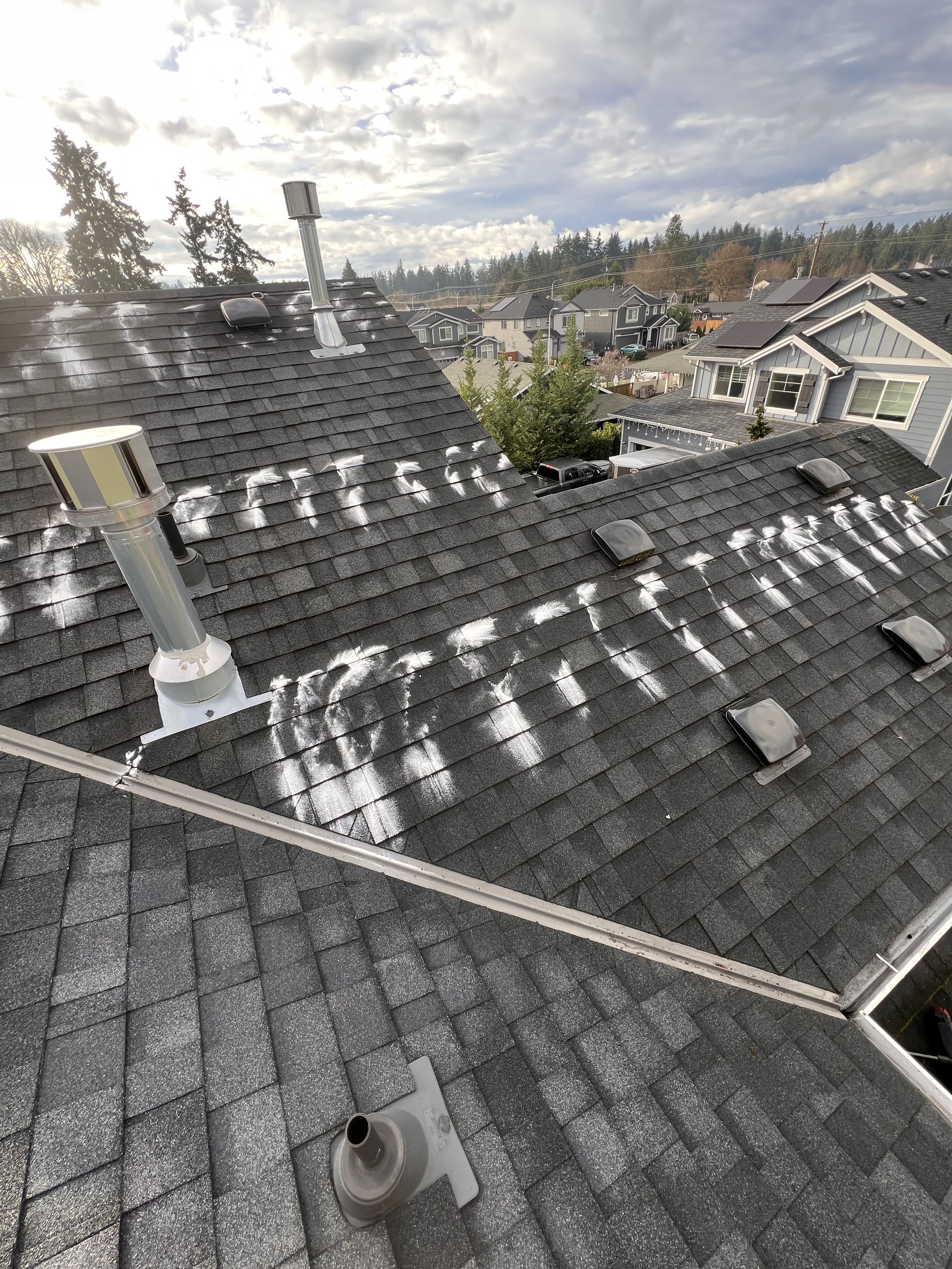 Roof Clean-Up
