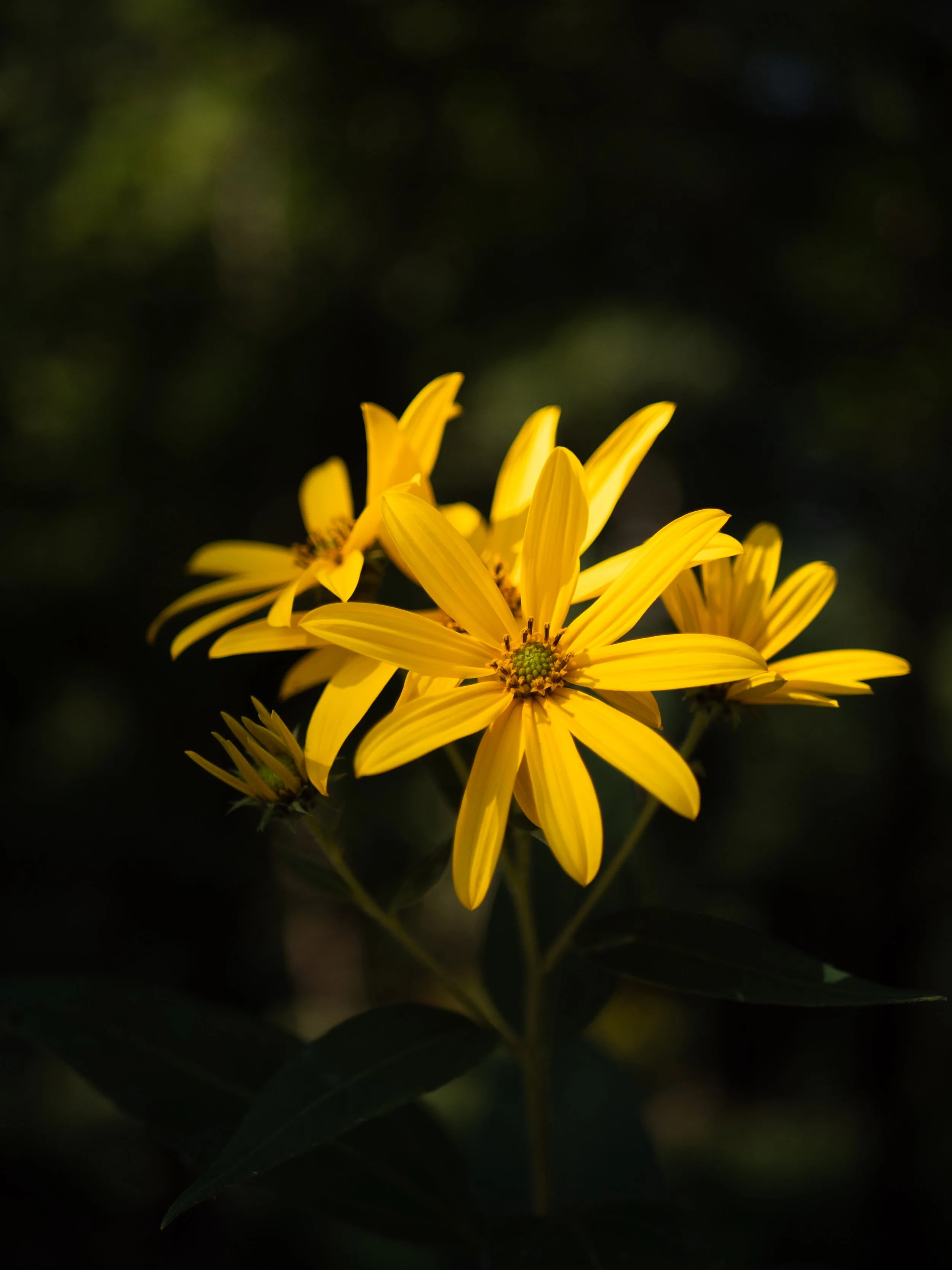 website-10-2.jpg