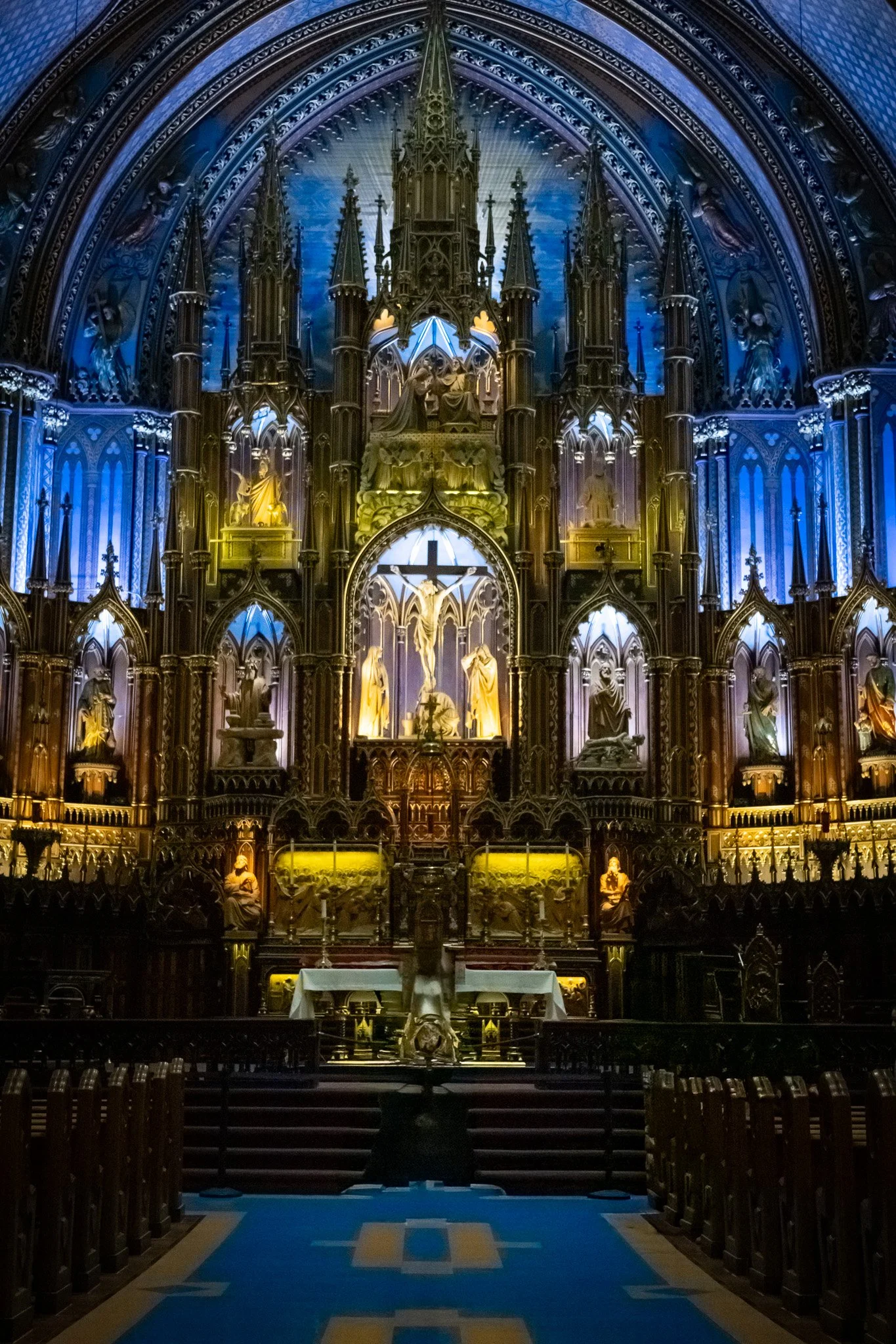 IMG_5256.jpg