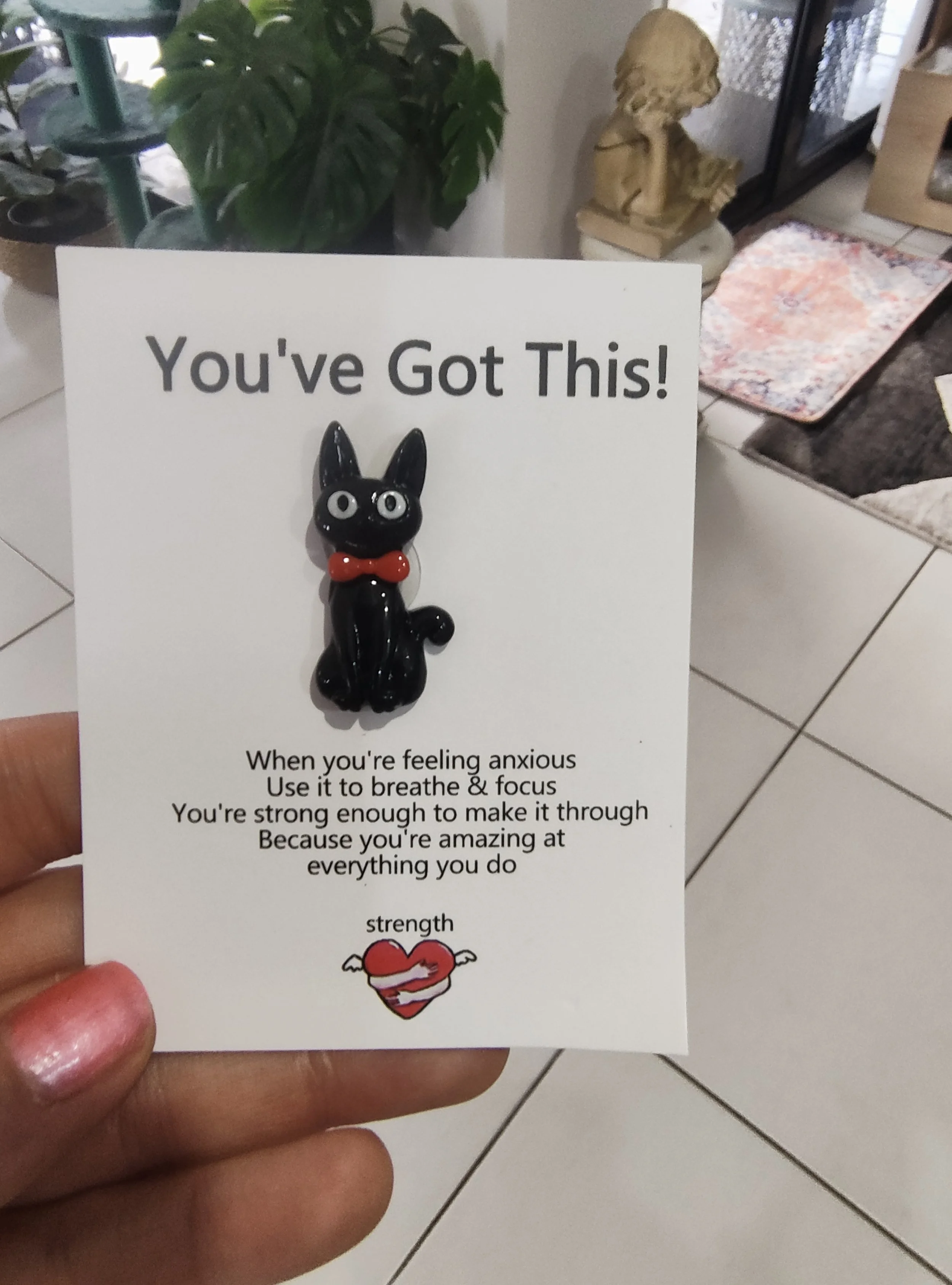 Black Worry Cat
