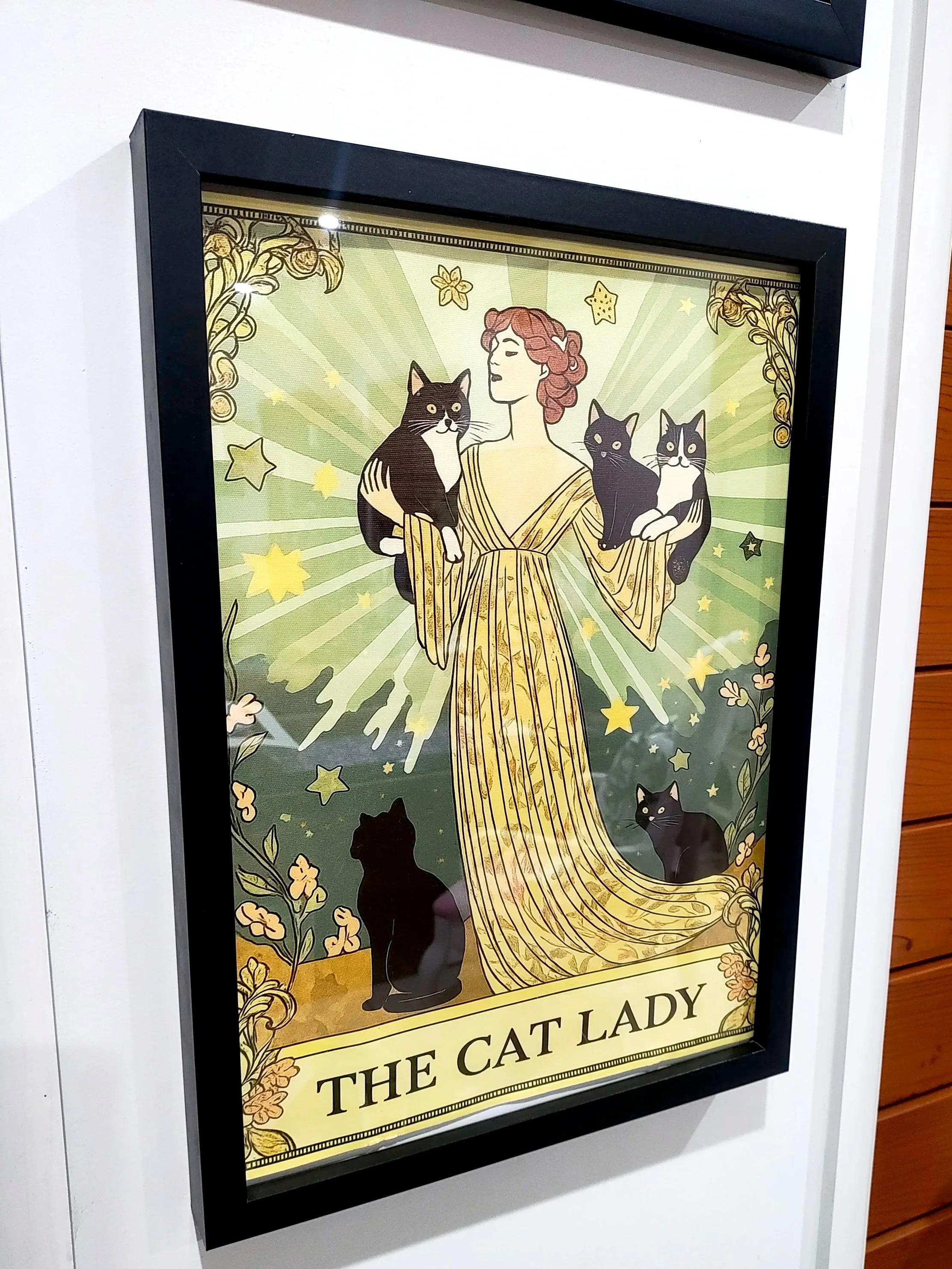The Cat Lady Framed Print