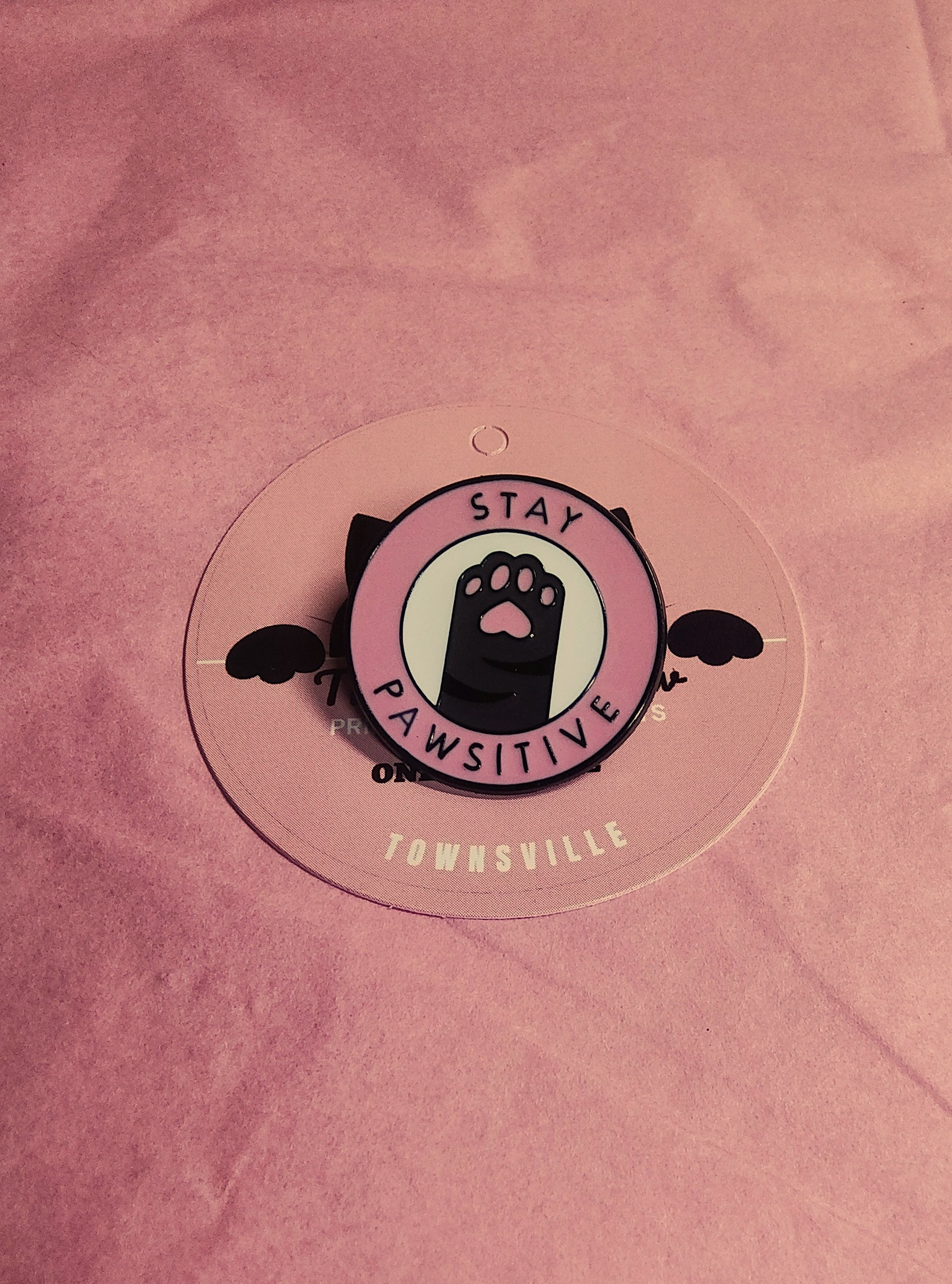Stay Pawsitive Pin