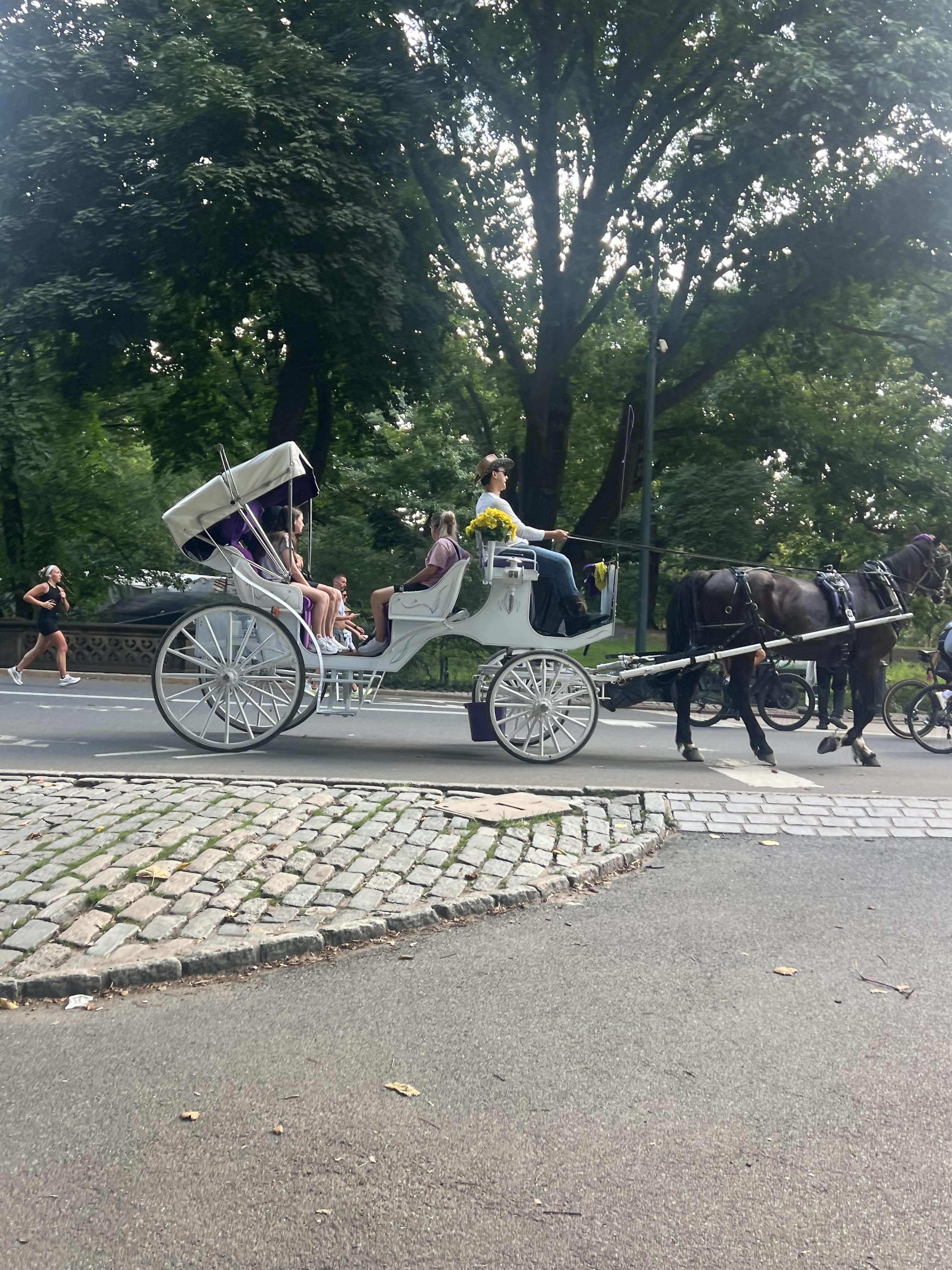 NYC 13.jpeg