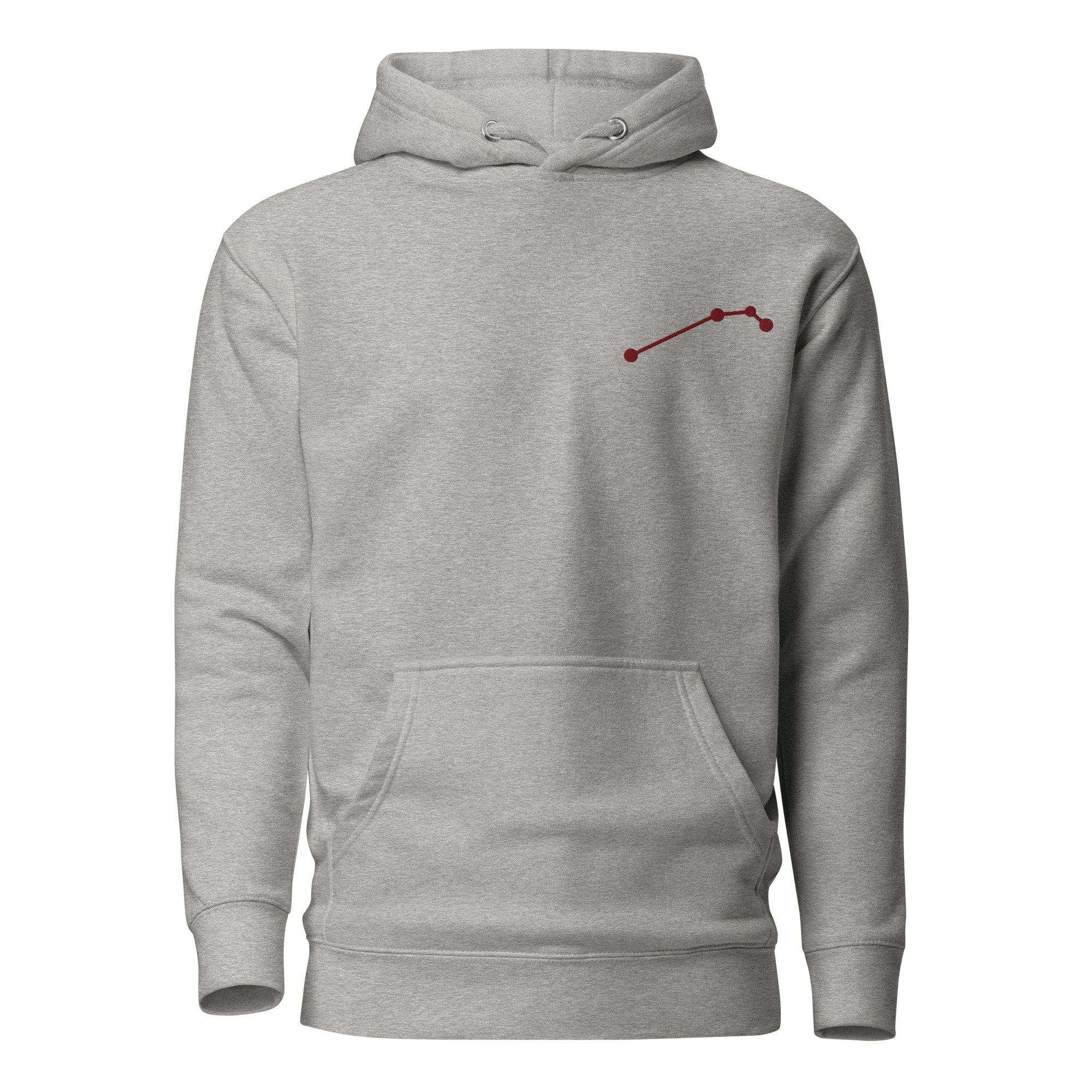 unisex-premium-hoodie-carbon-grey-front-678bb86d0259b.jpg