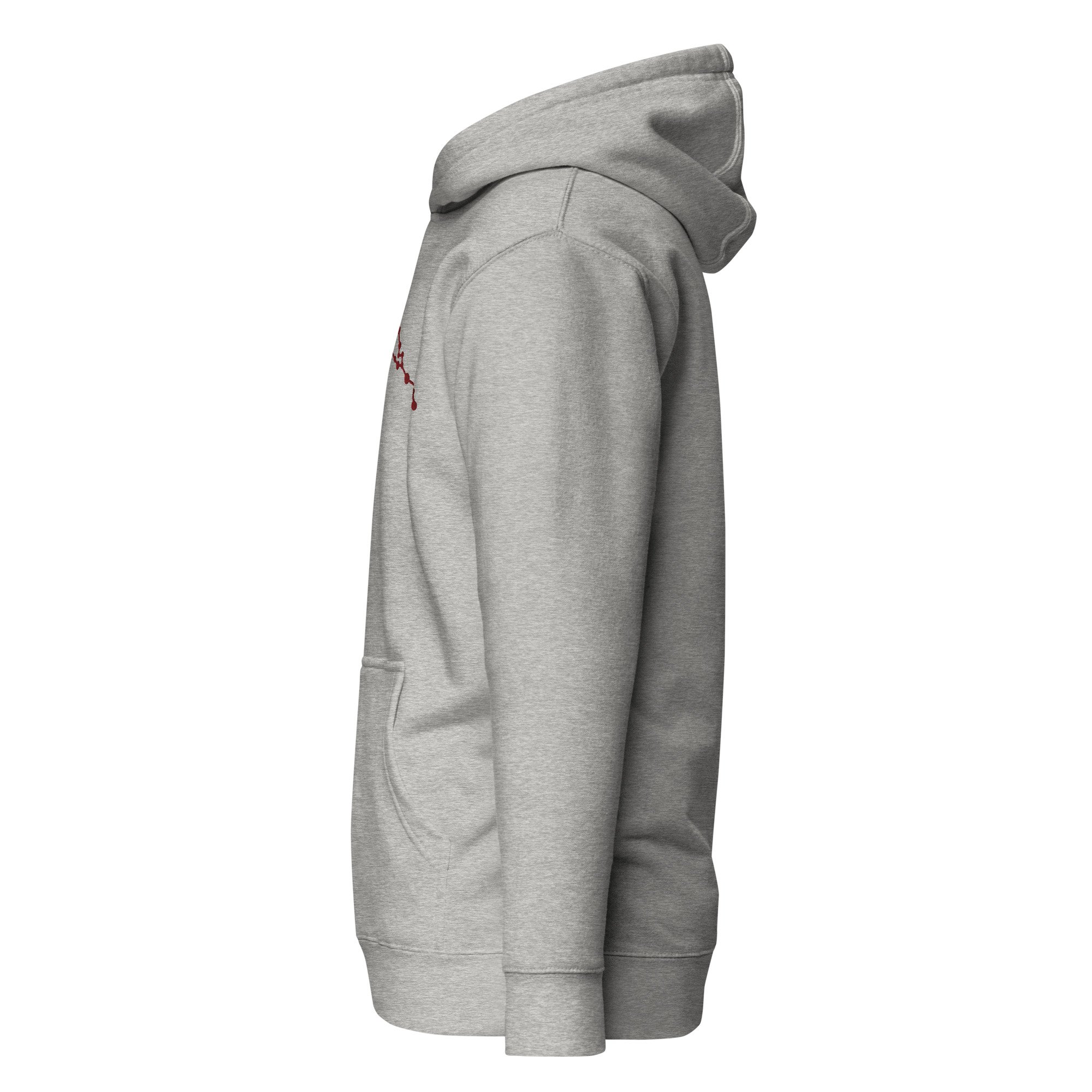 unisex-premium-hoodie-carbon-grey-left-678bf540ceea3.jpg