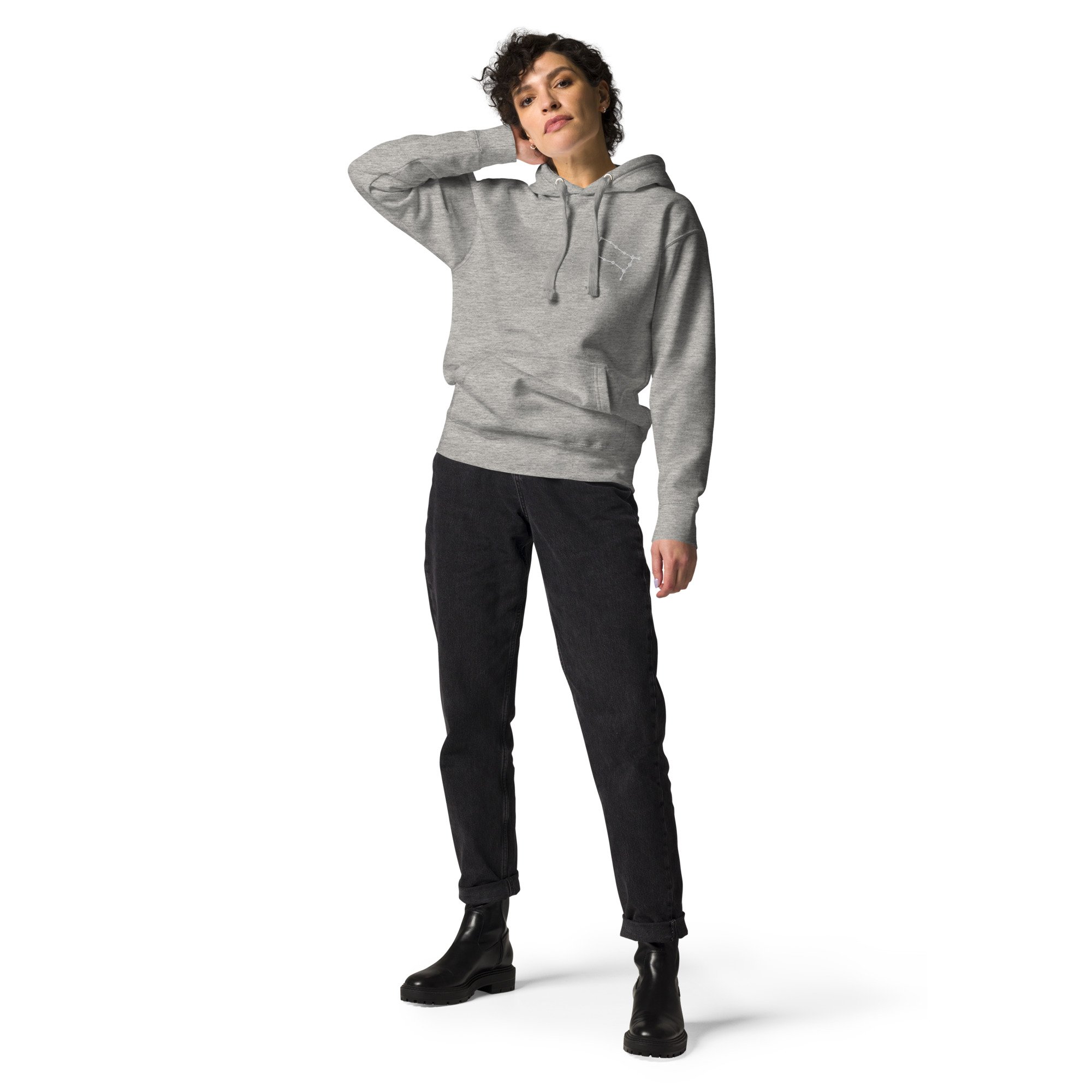 unisex-premium-hoodie-carbon-grey-front-678e80524fb6b.jpg