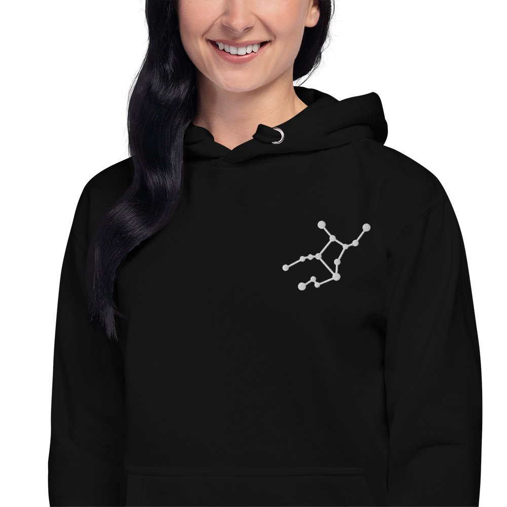 unisex-premium-hoodie-black-zoomed-in-679125a389fc8.jpg